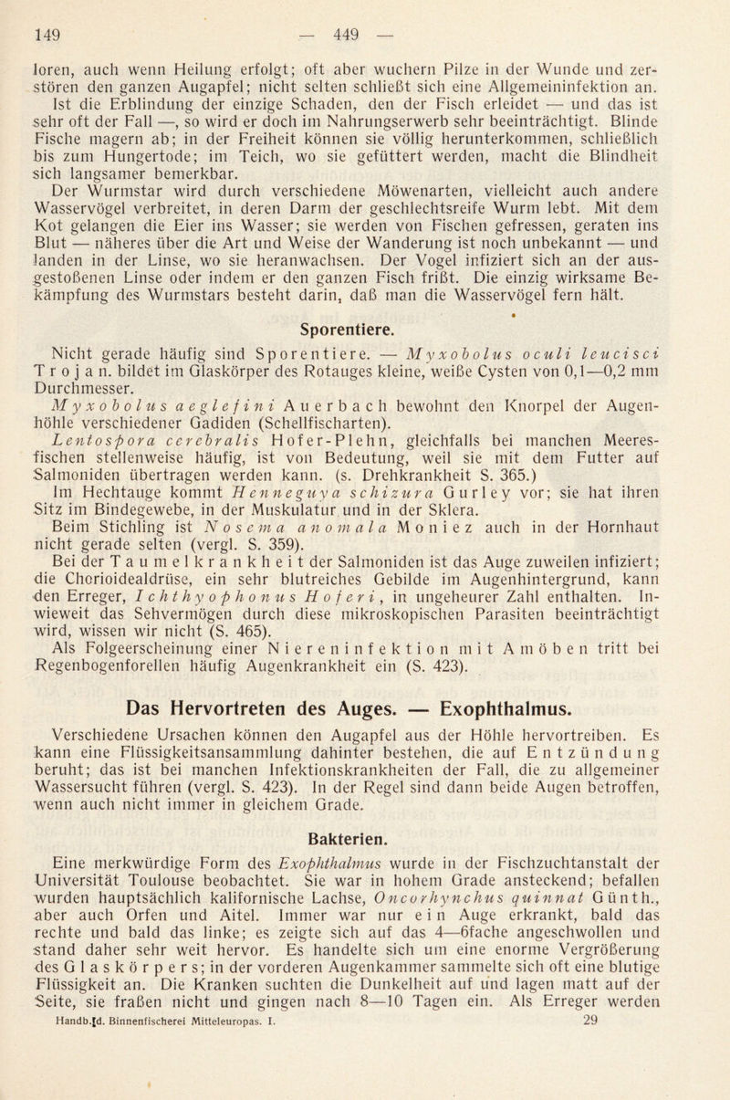 loren, auch wenn Heilung erfolgt; oft aber wuchern Pilze in der Wunde und zer- storen den ganzen Augapfel; nicht selten schlieBt sich eine Allgemeininfektion an. 1st die Erblindung der einzige Schaden, den der Fisch erleidet — und das ist sehr oft der Fall —, so wird er doch im Nahrungserwerb sehr beeintrachtigt. Blinde Fische magern ab; in der Freiheit konnen sie vollig herunterkommen, schlieBlich bis zum Hungertode; im Teich, wo sie gefuttert werden, macht die Blindheit sich langsamer bemerkbar. Der Wurmstar wird durch verschiedene Mowenarten, vielleicht auch andere Wasservogel verbreitet, in deren Darm der geschlechtsreife Wurm lebt. Mit dem Kot gelangen die Eier ins Wasser; sie werden von Fischen gefressen, geraten ins Blut — naheres fiber die Art und Weise der Wanderung ist noch unbekannt — und Janden in der Linse, wo sie heranwachsen. Der Vogel infiziert sich an der aus- gestoBenen Linse oder indem er den ganzen Fisch friBt. Die einzig wirksame Be- kampfung des Wurmstars besteht darin, dab man die Wasservogel fern halt. Sporentiere. Nicht gerade haufig sind Sporentiere. — Myxobolus oculi leucisci Trojan, bildet im Glaskorper des Rotauges kleine, weiBe Cysten von 0,1—0,2 mm Durchmesser. Myxobolus aeglefini Auerbach bewohnt den Knorpel der Augeii- hdhle verschiedener Gadiden (Schellfischarten). Lento sp or a cerebralis Hofer-Plehn, gleichfalls bei manchen Meeres- fischen stellenweise haufig, ist von Bedeutung, weil sie mit dem Futter auf Salmoniden ubertragen werden kann. (s. Drehkrankheit S. 365.) Im Hechtauge kommt Henneguya schizura Gurley vor; sie hat ihren Sitz im Bindegewebe, in der Muskulatur und in der Sklera. Beim Stichling ist Nosema an o mala Moniez auch in der Hornhaut nicht gerade selten (vergl. S. 359). Bei der Taumelkrankheit der Salmoniden ist das Auge zuweilen infiziert; die Chorioidealdriise, ein sehr blutreiches Gebilde im Augenhintergrund, kann den Erreger, Ichthyophonus H o f er i, in ungeheurer Zahl enthalten. In- wieweit das Sehvermogen durch diese mikroskopischen Parasiten beeintrachtigt wird, wissen wir nicht (S. 465). Als Folgeerscheinung einer Niereninfektion mit Amoben tritt bei Regenbogenforellen haufig Augenkrankheit ein (S. 423). Das Hervortreten des Auges. — Exophthalmus. Verschiedene Ursachen konnen den Augapfel aus der Hohle hervortreiben. Es kann eine Fliissigkeitsansammlung dahinter bestehen, die auf Entziindung beruht; das ist bei manchen Infektionskrankheiten der Fall, die zu allgemeiner Wassersucht fiihren (vergl. S. 423). In der Regel sind dann beide Augen betroffen, wenn auch nicht immer in gleichem Grade. Bakterien. Eine merkwiirdige Form des Exophthalmus wurde in der Fischzuchtanstalt der Universitat Toulouse beobachtet. Sie war in hohem Grade ansteckend; befallen wurden hauptsachlich kalifornische Lachse, 0ncorhynchus quinnat Gtinth., aber auch Orfen und Aitel. Immer war nur e i n Auge erkrankt, bald das rechte und bald das linke; es zeigte sich auf das 4—6fache angeschwollen und stand daher sehr weit hervor. Es handelte sich um eine enorme VergroBerung des Glaskor p ers; in der vorderen Augenkammer sammelte sich oft eine blutige Fliissigkeit an. Die Kranken suchten die Dunkelheit auf und lagen matt auf der Seite, sie fraBen nicht und gingen nach 8—10 Tagen ein. Als Erreger werden Handb.[d. Binnenfischerei Mitteleuropas. I. 29