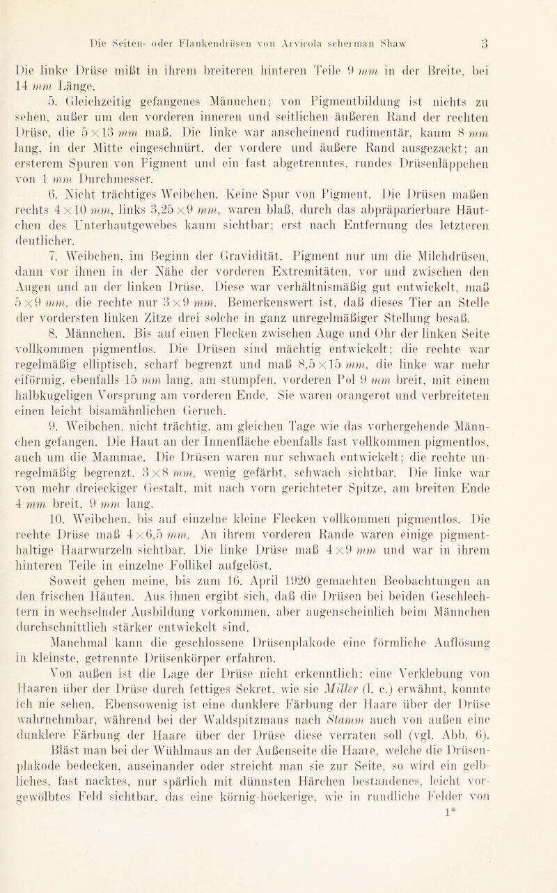 o D Die linke Drüse mißt in ihrem breiteren hinteren Teile 9 mm in der Breite, bei 14 mm Länge. 5. Gleichzeitig gefangenes Männchen; von Pigmentbildung ist nichts zu sehen, außer um den vorderen inneren und seitlichen äußeren Rand der rechten Drüse, die 5x13 mm maß. Die linke war anscheinend rudimentär, kaum 8 mm lang, in der Mitte eingesclmürt, der vordere und äußere Rand ausgezackt; an ersterem Spuren von Pigment und ein fast abgetrenntes, rundes Drüsenläppchen von 1 mm Durchmesser. 6. Nicht trächtiges Weibchen. Keine Spur von Pigment. Die Drüsen maßen rechts 4x10 mm, links 3,25x9 mm, waren blaß, durch das abpräparierbare Häut- chen des Unterhautgewebes kaum sichtbar; erst nach Entfernung des letzteren deutlicher. 7. Weibchen, im Beginn der Gravidität. Pigment nur um die Milchdrüsen, dann vor ihnen in der Nähe der vorderen Extremitäten, vor und zwischen den Augen und an der linken Drüse. Diese war verhältnismäßig gut entwickelt, maß 5x9 mm, die rechte nur 3x9 mm. Bemerkenswert ist, daß dieses Tier an Stelle der vordersten linken Zitze drei solche in ganz unregelmäßiger Stellung besaß. 8. Männchen. Bis auf einen Flecken zwischen Auge und Ohr der linken Seite vollkommen pigmentlos. Die Drüsen sind mächtig entwickelt; die rechte war regelmäßig elliptisch, scharf begrenzt und maß 8,5x15 mm, die linke war mehr eiförmig, ebenfalls 15 mm lang, am stumpfen, vorderen Pol 9 mm breit, mit einem halbkugeligen Vorsprung am vorderen Ende. Sie waren orangerot und verbreiteten einen leicht bisamähnlichen Geruch. 9. Weibchen, nicht trächtig, am gleichen Tage wie das vorhergehende Männ- chen gefangen. Die Haut an der Innenfläche ebenfalls fast vollkommen pigmentlos, auch um die Mammae. Die Drüsen waren nur schwach entwickelt; die rechte un- regelmäßig begrenzt, 3x8 mm, wenig gefärbt, schwach sichtbar. Die linke war von mehr dreieckiger Gestalt, mit nach vorn gerichteter Spitze, am breiten Ende 4 mm breit, 9 mm lang. 10. Weibchen, bis auf einzelne kleine Flecken vollkommen pigmentlos. Die rechte Drüse maß 4x6,5 mm. An ihrem vorderen Rande waren einige pigment- haltige Haarwurzeln sichtbar. Die linke Drüse maß 4x9 mm und war in ihrem hinteren Teile in einzelne Follikel aufgelöst. Soweit gehen meine, bis zum 16. April 1920 gemachten Beobachtungen an den frischen Häuten. Aus ihnen ergibt sich, daß die Drüsen bei beiden Geschlech- tern in wechselnder Ausbildung Vorkommen, aber augenscheinlich beim Männchen durchschnittlich stärker entwickelt sind. Manchmal kann die geschlossene Drüsenplakode eine förmliche Auflösung in kleinste, getrennte Drüsenkörper erfahren. Von außen ist die Lage der Drüse nicht erkenntlich; eine Verklebung von Haaren über der Drüse durch fettiges Sekret, wie sie Müler (1. c.) erwähnt, konnte ich nie sehen. Ebensowenig ist eine dunklere Färbung der Haare über der Drüse wahrnehmbar, während bei der Waldspitzmaus nach Stamm auch von außen eine dunklere Färbung der Haare über der Drüse diese verraten soll (vgl. Abb. 6). Bläst man bei der Wühlmaus an der Außenseite die Haare, welche die Drüsen- plakode bedecken, auseinander oder streicht man sie zur Seite, so wird ein gelb- liches, fast nacktes, nur spärlich mit dünnsten Härchen bestandenes, leicht vor- gewölbtes Feld sichtbar, das eine körnig-höckerige, wie in rundliche Felder von 1*