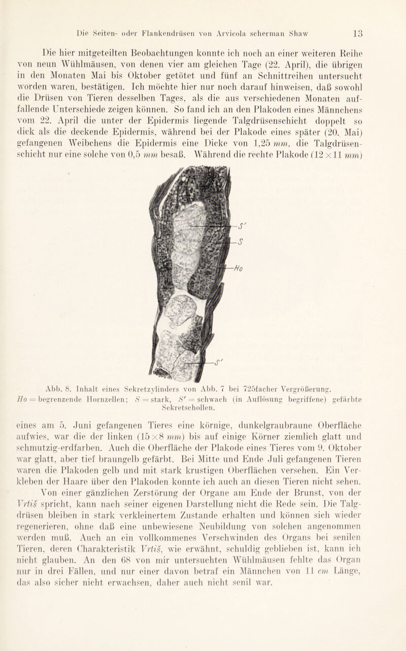 Die hier mitgeteilten Beobachtungen konnte ich noch an einer weiteren Reihe von neun Wühlmäusen, von denen vier am gleichen Tage (22. April), die übrigen in den Monaten Mai bis Oktober getötet und fünf an Schnittreihen untersucht worden waren, bestätigen. Ich möchte hier nur noch darauf hinweisen, daß sowohl die Drüsen von Tieren desselben Tages, als die aus verschiedenen Monaten auf- fallende Unterschiede zeigen können. So fand ich an den Plakoden eines Männchens vom 22. April die unter der Epidermis liegende Talgdrüsenschicht doppelt so dick als die deckende Epidermis, während bei der Plakode eines später (20. Mai) gefangenen Weibchens die Epidermis eine Dicke von 1,25 mm, die Talgdrüsen- schicht nur eine solche von 0,5 mm besaß. Während die rechte Plakode (12 xll mm) Abb. 8. Inhalt eines Sekretzylinders von Abb. 7 bei 725facher Vergrößerung. Ho = begrenzende Hornzellen; S = stark, S' = schwach (in Auflösung begriffene) gefärbte Sekretschollen. eines am 5. Juni gefangenen Tieres eine körnige, dunkelgraubraune Oberfläche aufwies, war die der linken (15x8 mm) bis auf einige Körner ziemlich glatt und schmutzig-erdfarben. Auch die Oberfläche der Plakode eines Tieres vom 9. Oktober war glatt, aber tief braungelb gefärbt. Bei Mitte und Ende Juli gefangenen Tieren waren die Plakoden gelb und mit stark krustigen Oberflächen versehen. Ein Ver- kleben der Haare über den Plakoden konnte ich auch an diesen Tieren nicht sehen. Von einer gänzlichen Zerstörung der Organe am Ende der Brunst, von der Vrtis spricht, kann nach seiner eigenen Darstellung nicht die Rede sein. Die Talg- drüsen bleiben in stark verkleinertem Zustande erhalten und können sich wieder regenerieren, ohne daß eine unbewiesene Neubildung von solchen angenommen werden muß. Auch an ein vollkommenes Verschwinden des Organs bei senilen Tieren, deren Charakteristik Vrtis, wie erwähnt, schuldig geblieben ist, kann ich nicht glauben. An den 68 von mir untersuchten Wühlmäusen fehlte das Organ nur in drei Fällen, und nur einer davon betraf ein Männchen von 11 cm Länge, das also sicher nicht erwachsen, daher auch nicht senil war.