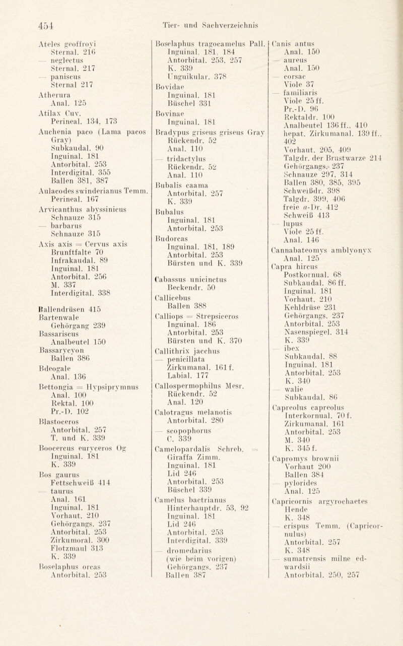 Ateles geoffroyi Sterna], 216 neglectus Sternal. 217 -— paniscus Sternal 217 Atherura Anal. 125 Atilax Cuv. Perineal. 134, 173 Auchenia paco (Lama pacos Gray) Subkaudal. 90 Inguinal. 181 Antorbital. 253 Inter digital. 355 Ballen 381, 387 Aulacodes swinderianus Temm. Perineal. 167 Arvicanthus abyssinicus Schnauze 315 — barbarus Schnauze 315 Axis axis = Cervus axis Brunftfalte 70 Infrakaudal. 89 Inguinal. 181 Antorbital. 256 M. 337 Inter digital. 338 Ballendrüsen 415 Bartenwale Gehörgang 239 Bassariscus Analbeutel 150 Bassarycyon Ballen 386 Bdeogale Anal. 136 Bettongia = Hypsiprymnus Anal. 100 Rektal. 100 Pr.-D. 102 Blastoceros Antorbital. 257 T. und K. 339 Boocercus euryceros Og Inguinal. 181 K. 339 Bos gaurus Fettschweiß 414 taurus Anal. 161 Inguinal. 181 Vorhaut. 210 Gehörgangs. 237 Antorbital. 253 Zirkumoral. 300 Flotzmaul 313 K. 339 Boselaphus orcas Antorbital. 253 Boselaphus tragocanrelus Pall. Inguinal. 181, 184 Antorbital. 253, 257 K. 339 Unguikular. 378 Bovidae Inguinal. 181 Büschel 331 Bovinae Inguinal. 181 Bradypus griseus griseus Gray Rückendr. 52 Anal. 110 — tridactylus Rückendr. 52 Anal. 110 Bubalis caama Antorbital. 257 K. 339 Bubalus Inguinal. 181 Antorbital. 253 Bndorcas Inguinal. 181, 189 Antorbital. 253 Bürsten und K. 339 Cabassus unicinctus Beckendr. 50 Callicebus Ballen 388 Calliops = Strepsiceros Inguinal. 186 Antorbital. 253 Bürsten und K. 370 Callithrix jacchus penicillata Zirkumanal. 161 f. Labial. 177 Callospermophilus Mesr. Rückendr. 52 Anal. 120 Calotragus melanotis Antorbital. 280 scopophorus C. 339 Camelopardalis Schreb. Giraffa Zimm. Inguinal. 181 Lid 246 Antorbital. 253 Büschel 339 Camelus bactrianus Hinterhauptdr. 53, 92 Inguinal. 181 Lid 246 Antorbital. 253 Inter digital. 339 dromedarius (wie beim vorigen) Gehörgangs. 237 Ballen 387 Canis antus Anal. 150 — aureus Anal. 150 corsac Aböle 37 fa miliaris Viole 25 ff. Pr.-D. 96 Rektaldr. 100 Analbeutel 136 ff., 410 hepat. Zirkumanal. 139 ff.. 402 Vorhaut. 205, 409 Talgdr. der Brustwarze 214 Gehörgangs.- 237 Schnauze 297, 314 Ballen 380, 385, 395 Schweißdr. 398 Talgdr. 399, 406 freie a-Dr. 412 Schweiß 413 lupus Aböle 25 ff. Anal. 146 Cannabateomys amblyonyx Anal. 125 Capra hircus Postkornual. 68 Subkaudal. 86 ff. Inguinal. 181 Abtrhaut. 210 Kehldrüse 231 Gehörgangs. 237 Antorbital. 253 Nasenspiegel. 314 K. 339 ibex Subkaudal. 88 Inguinal. 181 Antorbital. 253 K. 340 walie Subkaudal. 86 Capreolus capreolus Iuterkornual. 70 f. Zirkumanal. 161 Antorbital. 253 M. 340 K. 345 f. Ca pro mys brownii Vorhaut 200 Ballen 384 pylorides Anal. 125 Capricornis argyrochaetes Hende K. 348 crispus Temm. (Capricor- nulus) Antorbital. 257 K. 348 sumatrensis milne ed- wardsii Antorbital. 250, 257