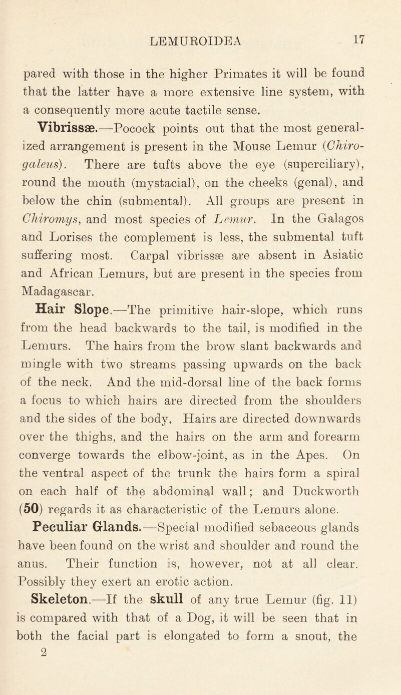 pared with those in the higher Primates it will be found that the latter have a more extensive line system, with a consequently more acute tactile sense. Vibrissae.—Pocock points out that the most general- ized arrangement is present in the Mouse Lemur (Ghiro- galeus). There are tufts above the eye (superciliary), round the mouth (mystacial), on the cheeks (genal), and below the chin (submental). All groups are present in Chiromys, and most species of Lemur. In the Galagos and Lorises the complement is less, the submental tuft suffering most. Carpal vibrissae are absent in Asiatic and African Lemurs, but are present in the species from Madagascar. Hair Slope - -The primitive hair-slope, which runs from the head backwards to the tail, is modified in the Lemurs. The hairs from the brow slant backwards and mingle with two streams passing upwards on the back of the neck. And the mid-dorsal line of the back forms a focus to which hairs are directed from the shoulders and the sides of the body. Hairs are directed downwards over the thighs, and the hairs on the arm and forearm converge towards the el bow-joint, as in the Apes. On the ventral aspect of the trunk the hairs form a spiral on each half of the abdominal wall; and Duckworth (50) regards it as characteristic of the Lemurs alone. Peculiar Glands.—Special modified sebaceous glands have been found on the wrist and shoulder and round the anus. Their function is, however, not at all clear. Possibly they exert an erotic action. Skeleton.—If the skull of any true Lemur (fig. 11) is compared with that of a Dog, it will be seen that in both the facial part is elongated to form a snout, the 2