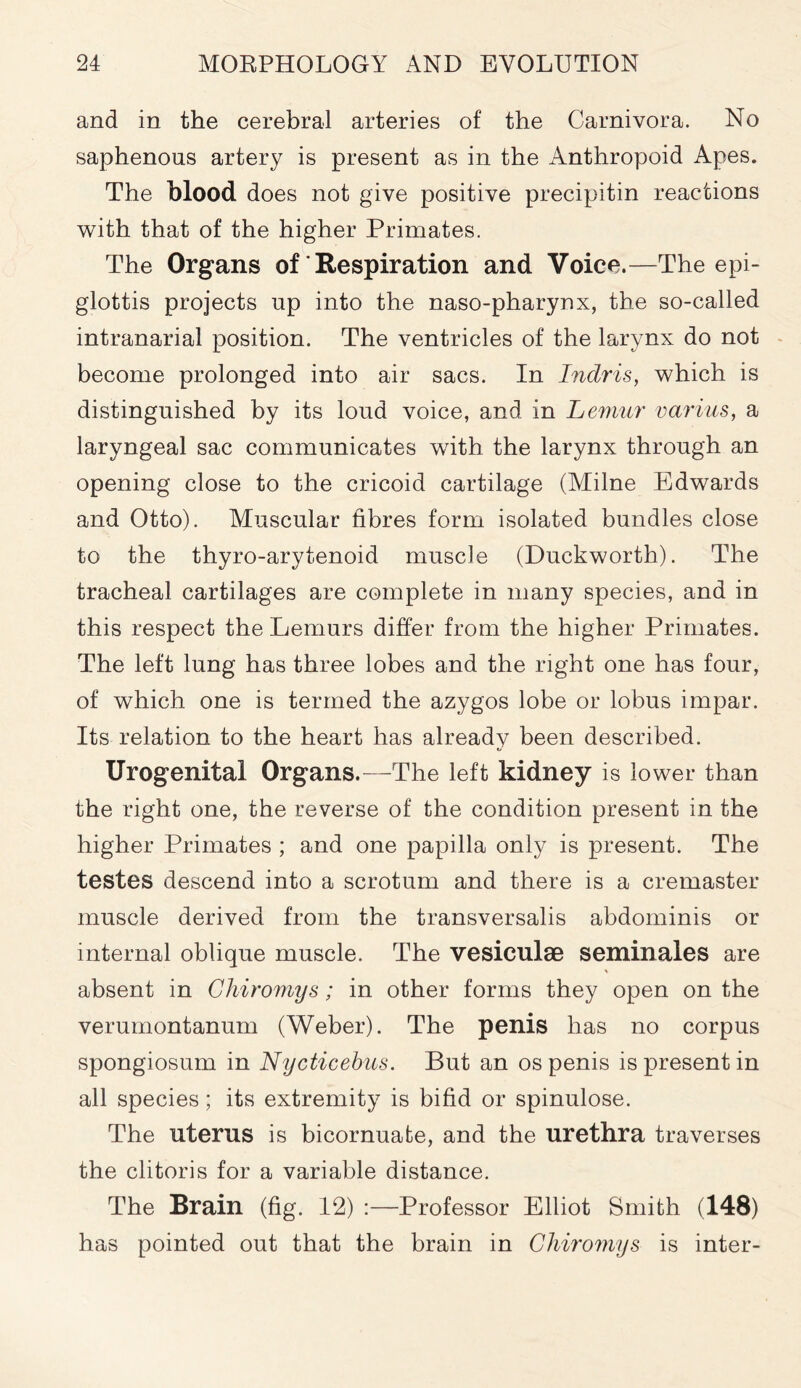 and in the cerebral arteries of the Carnivora. No saphenous artery is present as in the Anthropoid Apes. The blood does not give positive precipitin reactions with that of the higher Primates. The Organs of' Respiration and Voice.—The epi- glottis projects up into the naso-pharynx, the so-called intranarial position. The ventricles of the larynx do not become prolonged into air sacs. In Inclris, which is distinguished by its loud voice, and in Lemur varius, a laryngeal sac communicates with the larynx through an opening close to the cricoid cartilage (Milne Edwards and Otto). Muscular fibres form isolated bundles close to the thyro-arytenoid muscle (Duckworth). The tracheal cartilages are complete in many species, and in this respect the Lemurs differ from the higher Primates. The left lung has three lobes and the right one has four, of which one is termed the azygos lobe or lobus impar. Its relation to the heart has already been described. Urogenital Organs.—The left kidney is lower than the right one, the reverse of the condition present in the higher Primates ; and one papilla only is present. The testes descend into a scrotum and there is a cremaster muscle derived from the transversalis abdominis or internal oblique muscle. The vesiculse seminales are % absent in Chiromys; in other forms they open on the verumontanum (Weber). The penis has no corpus spongiosum in Nycticebus. But an os penis is present in all species; its extremity is bifid or spinulose. The uterus is bicornuate, and the urethra traverses the clitoris for a variable distance. The Brain (fig. 12) :—Professor Elliot Smith (148) has pointed out that the brain in Chiromys is inter-