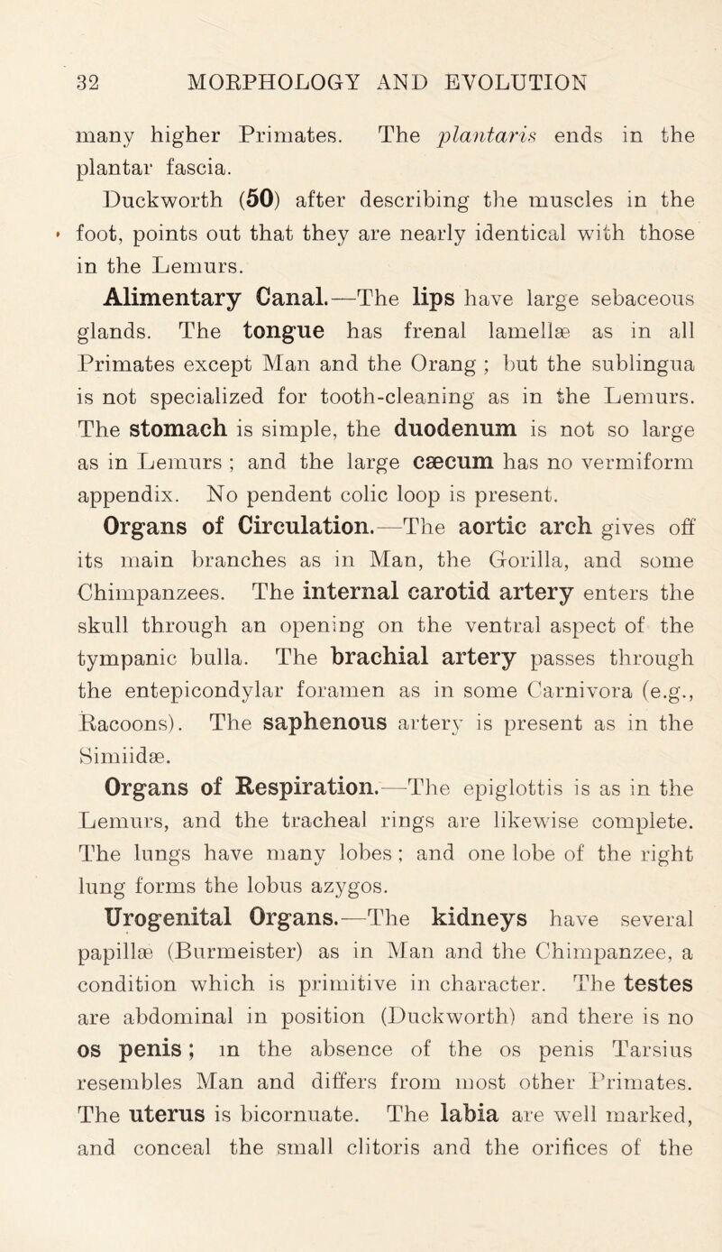 many higher Primates. The plantaris ends in the plantar fascia. Duckworth (50) after describing the muscles in the • foot, points out that they are nearly identical with those in the Lemurs. Alimentary Canal.—The lips have large sebaceous glands. The tongue has frenal lamellae as in all Primates except Alan and the Orang ; but the sublingua is not specialized for tooth-cleaning as in the Lemurs. The stomach is simple, the duodenum is not so large as in Lemurs ; and the large csecum has no vermiform appendix. No pendent colic loop is present. Organs of Circulation.—The aortic arch gives off its main branches as in Alan, the Gorilla, and some Chimpanzees. The internal carotid artery enters the skull through an opening on the ventral aspect of the tympanic bulla. The brachial artery passes through the entepicondylar foramen as in some Carnivora (e.g., Racoons). The saphenous artery is present as in the Simiidse. Organs of Respiration.—The epiglottis is as in the Lemurs, and the tracheal rings are likewise complete. The lungs have many lobes ; and one lobe of the right lung forms the lobus azygos. Urogenital Organs.—The kidneys have several papillae (Burmeister) as in Alan and the Chimpanzee, a condition which is primitive in character. The testes are abdominal in position (Duckworth) and there is no os penis; m the absence of the os penis Tarsius resembles Alan and differs from most other Primates. The uterus is bicornuate. The labia are well marked, and conceal the small clitoris and the orifices of the