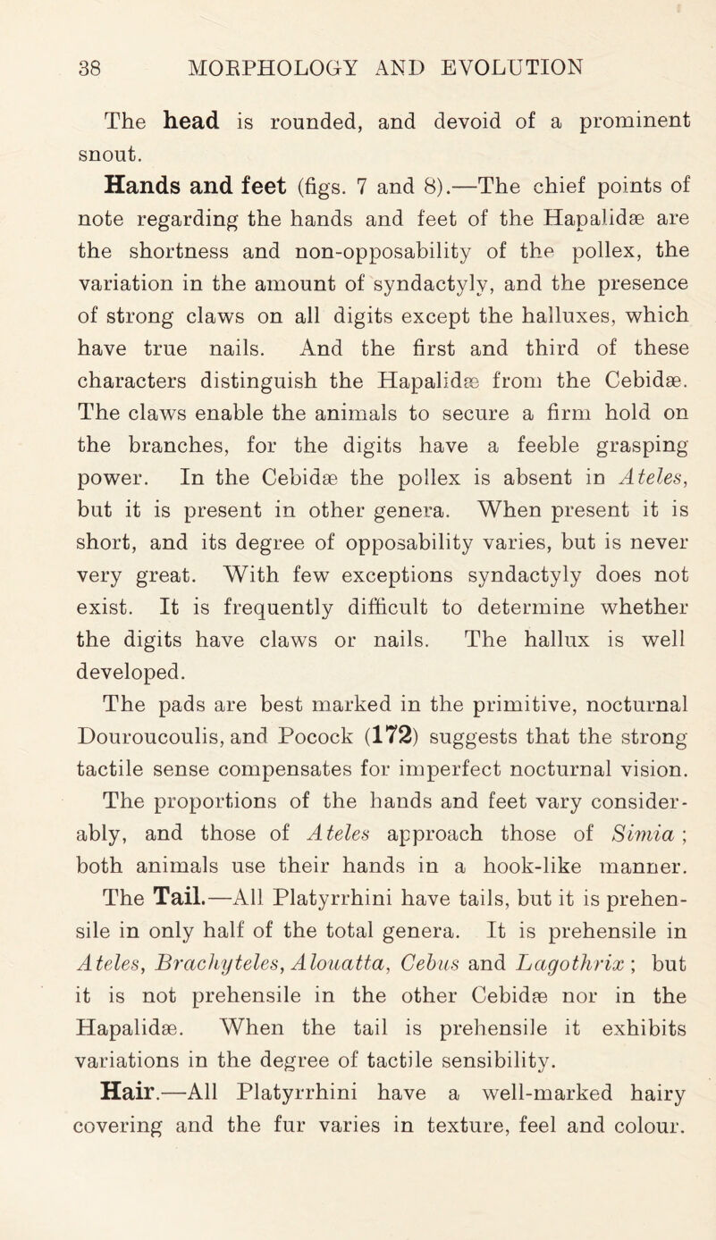 The head is rounded, and devoid of a prominent snout. Hands and feet (figs. 7 and 8).—The chief points of note regarding the hands and feet of the Hapalidae are the shortness and non-opposability of the pollex, the variation in the amount of syndactyly, and the presence of strong claws on all digits except the halluxes, which have true nails. And the first and third of these characters distinguish the Hapalidae from the Cebidae. The claws enable the animals to secure a firm hold on the branches, for the digits have a feeble grasping- power. In the Cebidae the pollex is absent in Ateles, but it is present in other genera. When present it is short, and its degree of opposability varies, but is never very great. With few exceptions syndactyly does not exist. It is frequently difficult to determine whether the digits have claws or nails. The hallux is well developed. The pads are best marked in the primitive, nocturnal Douroucoulis, and Pocock (172) suggests that the strong- tactile sense compensates for imperfect nocturnal vision. The proportions of the hands and feet vary consider- ably, and those of Ateles approach those of Simla; both animals use their hands in a hook-like manner. The Tail.—All Platyrrhini have tails, but it is prehen- sile in only half of the total genera. It is prehensile in Ateles, Brachyteles, Alouatta, Cebus and Lagothrix ; but it is not prehensile in the other Cebidae nor in the Hapalidae. When the tail is prehensile it exhibits variations in the degree of tactile sensibility. Hair.—All Platyrrhini have a well-marked hairy covering and the fur varies in texture, feel and colour.