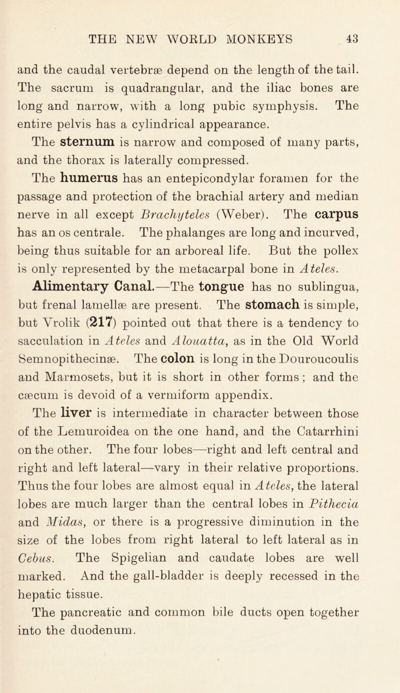 and the caudal vertebrae depend on the length of the tail. The sacrum is quadrangular, and the iliac bones are long and narrow, with a long pubic symphysis. The entire pelvis has a cylindrical appearance. The sternum is narrow and composed of many parts, and the thorax is laterally compressed. The humerus has an entepicondylar foramen for the passage and protection of the brachial artery and median nerve in all except Brachyteles (Weber). The carpus has an os centrale. The phalanges are long and incurved, being thus suitable for an arboreal life. But the pollex is only represented by the metacarpal bone in Ateles. Alimentary Canal.—The tongue has no sublingua, but frenal lamellae are present. The stomach is simple, but Yrolik (217) pointed out that there is a tendency to sacculation in Ateles and Alouatta, as in the Old World Semnopithecinse. The colon is long in the Douroucoulis and Marmosets, but it is short in other forms; and the caecum is devoid of a vermiform appendix. The liver is intermediate in character between those of the Lemuroidea on the one hand, and the Catarrhini on the other. The four lobes—right and left central and right and left lateral—vary in their relative proportions. Thus the four lobes are almost equal in A teles, the lateral lobes are much larger than the central lobes in Pithecia and Midas, or there is a progressive diminution in the size of the lobes from right lateral to left lateral as in Cebus. The Spigelian and caudate lobes are well marked. And the gall-bladder is deeply recessed in the hepatic tissue. The pancreatic and common bile ducts open together into the duodenum.