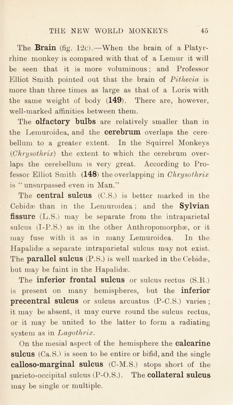 The Brain (fig. 12 c).—When the brain of a Platyr- rhine monkey is compared with that of a Lemur it will be seen that it is more voluminous; and Professor Elliot Smith pointed out that the brain of Pithecia is more than three times as large as that of a Loris with the same weight of body (149). There are, however, well-marked affinities between them. The olfactory bulbs are relatively smaller than in the Lemuroidea, and the cerebrum overlaps the cere- bellum to a greater extent. In the Squirrel Monkeys (Chrysothrix) the extent to which the cerebrum over- laps the cerebellum is very great. According to Pro- fessor Elliot Smith (148) the overlapping in Chrysothrix is unsurpassed even in Man.” The central sulcus (C.S.) is better marked in the Cebidae than in the Lemuroidea; and the Sylvian fissure (L.S.) may be separate from the intraparietal sulcus (I-P.S.) as in the other Anthropomorphae, or it may fuse with it as in many Lemuroidea.. In the Hapalidse a separate intraparietal sulcus may not exist. The parallel sulcus (P.S.) is well marked in the Cebidae, but may be faint in the Hapalidae. The inferior frontal sulcus or sulcus rectus (S.E.) is present on many hemispheres, but the inferior precentral sulcus or sulcus arcuatus (P-C.S.) varies ; it may be absent, it may curve round the sulcus rectus, or it may be united to the latter to form a radiating system as in Lagothrix. On the mesial aspect of the hemisphere the calcarine sulcus (Ca.S.) is seen to be entire or bifid, and the single calloso-marginal sulcus (C-M.S.) stops short of the parieto-occipital sulcus (P-O.S.). The collateral sulcus may be single or multiple.