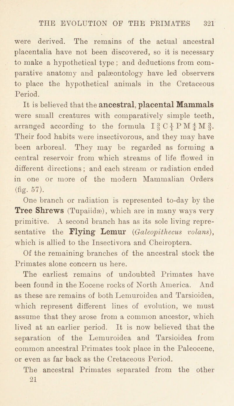 were derived. The remains of the actual ancestral placentalia have not been discovered, so it is necessary to make a hypothetical type; and deductions from com- parative anatomy and palaeontology have led observers to place the hypothetical animals in the Cretaceous Period. It is believed that the ancestral, placental Mammals were small creatures with comparatively simple teeth, arranged according to the formula 11 C j P M | M Their food habits were insectivorous, and they may have been arboreal. They may be regarded as forming a central reservoir from which streams of life flowed in different directions; and each stream or radiation ended in one or more of the modern Mammalian Orders (fig. 57). One branch or radiation is represented to-day by the Tree Shrews (Tupaiidse), which are in many ways very primitive. A second branch has as its sole living repre- sentative the Flying Lemur (Galeopithecus volans), which is allied to the Insectivora and Cheiroptera. Of the remaining branches of the ancestral stock the Primates alone concern us here. The earliest remains of undoubted Primates have been found in the Eocene rocks of North America. And as these are remains of both Lemuroidea and Tarsioidea, which represent different lines of evolution, we must assume that they arose from a common ancestor, which lived at an earlier period. It is now believed that the separation of the Lemuroidea and Tarsioidea from common ancestral Primates took place in the Paleocene, or even as far back as the Cretaceous Period. The ancestral Primates separated from the other 21