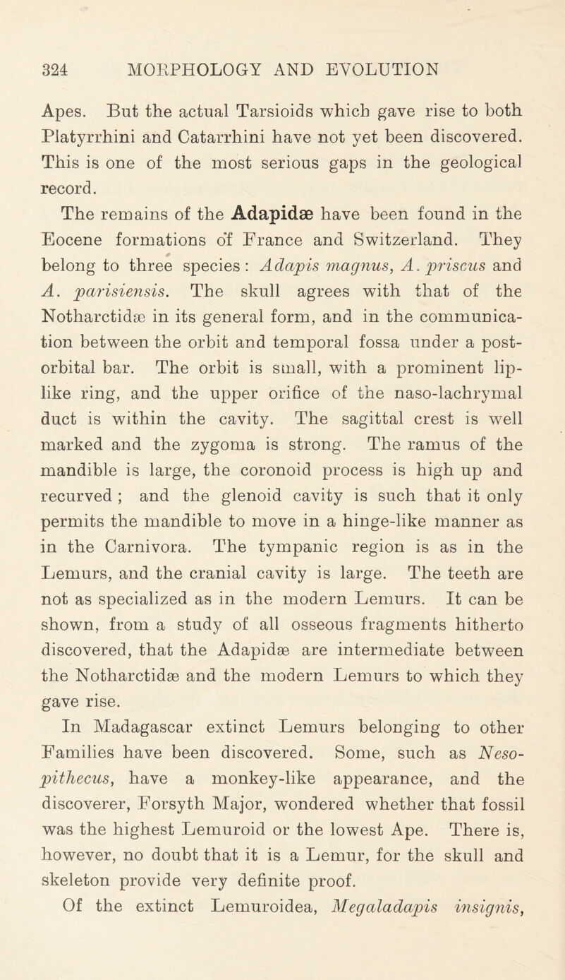 Apes. But the actual Tarsioids which gave rise to both Platyrrhini and Catarrhini have not yet been discovered. This is one of the most serious gaps in the geological record. The remains of the Adapidse have been found in the Eocene formations of France and Switzerland. They belong to three species: Adapis magnus, A. prisons and A. parisiensis. The skull agrees with that of the Notharctidse in its general form, and in the communica- tion between the orbit and temporal fossa under a post- orbital bar. The orbit is small, with a prominent lip- like ring, and the upper orifice of the naso-lachrymal duct is within the cavity. The sagittal crest is well marked and the zygoma is strong. The ramus of the mandible is large, the coronoid process is high up and recurved ; and the glenoid cavity is such that it only permits the mandible to move in a hinge-like manner as in the Carnivora. The tympanic region is as in the Lemurs, and the cranial cavity is large. The teeth are not as specialized as in the modern Lemurs. It can be shown, from a study of all osseous fragments hitherto discovered, that the Adapidse are intermediate between the Notharctidse and the modern Lemurs to which they gave rise. In Madagascar extinct Lemurs belonging to other Families have been discovered. Some, such as Neso- pithecus, have a monkey-like appearance, and the discoverer, Forsyth Major, wondered whether that fossil was the highest Lemuroid or the lowest Ape. There is, however, no doubt that it is a Lemur, for the skull and skeleton provide very definite proof. Of the extinct Lemuroidea, Megaladapis insignis,