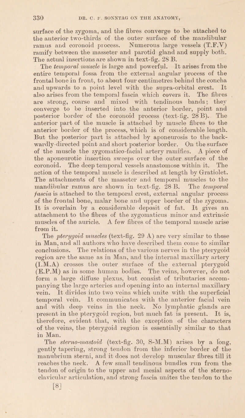 surface of the zygoma, and the fibres converge to be attached to the anterior two-thirds of the outer surface of the mandibular ramus and coronoid process. Numerous large vessels (T.F.V) ramify between the masse ter and parotid gland and supply both. The actual insertions are shown in text-fig. 28 B. The temporal muscle is large and powerful. It arises from the entire temporal fossa from the external angular process of the frontal bone in front, to about four centimetres behind the concha and upwards to a point level with the supra-orbital crest. It also arises from the temporal fascia which covers it. The fibres are strong, coarse and mixed with tendinous bands; they converge to be inserted into the anterior border, point and posterior border of the coronoid process (text-fig. 28 B). The anterior part of the muscle is attached by muscle fibres to the anterior border of the process, which is of considerable length. But the posterior part is attached by aponeurosis to the back- wardly-directed point and short posterior border. On the surface of the muscle the zygomatico-facial artery ramifies. A piece of the aponeurotic insertion sweeps over the outer surface of the coronoid. The deep temporal vessels anastomose within it. The action of the temporal muscle is described at length by Gfratiolet. The attachments of the masseter and temporal muscles to the mandibular ramus are shown in text-fig. 28 B. The temporal fascia is attached to the temporal crest, external angular process of the frontal bone, malar bone and upper border of the zygoma. It is overlain by a considerable deposit of fat. It gives an attachment to the fibres of the zygomaticus minor and extrinsic muscles of the auricle. A few fibres of the temporal muscle arise from it. The pterygoid muscles (text-fig. 29 A) are very similar to those in Man, and all authors who have described them come to similar conclusions. The relations of the various nerves in the pterygoid region are the same as in Man, and the internal maxillary artery (I.M.A) crosses the outer surface of the external pterygoid (E.P.M) as in some human bodies. The veins, however, do not form a large diffuse plexus, but consist of tributaries accom- panying the large arteries and opening into an internal maxillary vein. It divides into two veins which unite with the superficial temporal vein. It communicates with the anterior facial vein and with deep veins in the neck. No lymphatic glands are present in the pterygoid region, but much fat is present. It is, therefore, evident that, with the exception of the characters of the veins, the pterygoid region is essentially similar to that in Man. The sterno-mastoid (text-fig. 30, S-M.M) arises by a long, gently tapering, strong tendon from the inferior border of the manubrium sterni, and it does not develop muscular fibres till it reaches the neck. A few small tendinous bundles run from the tendon of origin to the upper and mesial aspects of the sterno- clavicular articulation, and strong fascia unites the tendon to the