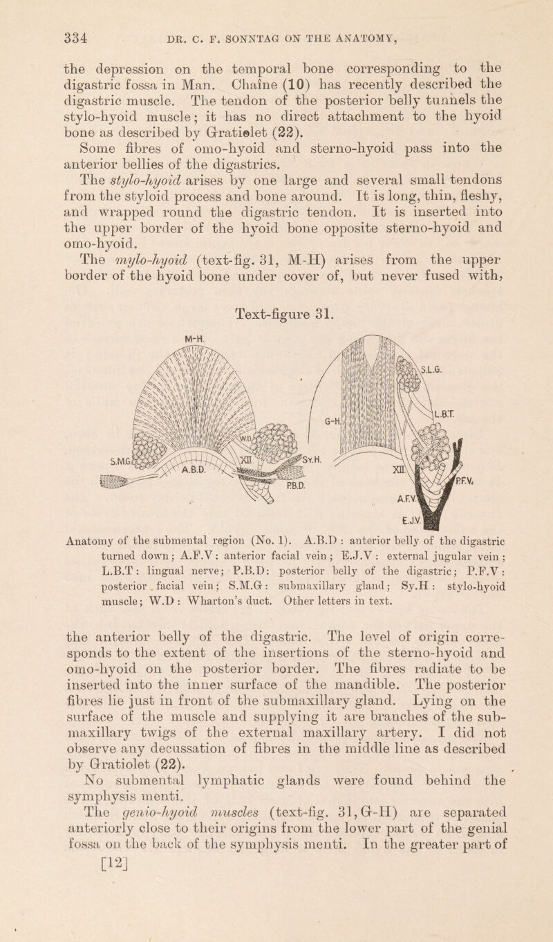 the depression on the temporal bone corresponding to the digastric fossa in Man. Chaine (10) has recently described the digastric muscle. The tendon of the posterior belly tunnels the stylo-hyoid muscle; it has no direct attachment to the hyoid bone as described by Gratiolet (22). Some fibres of omo-hyoid and sterno-hyoid pass into the anterior bellies of the digastrics. The stylo-hyoid arises by one large and several small tendons from the styloid process and bone around. It is long, thin, fleshy, and wrapped round the digastric tendon. It is inserted into the upper border of the hyoid bone opposite sterno-hyoid and omo-hyoid. The mylo-hyoid (text-fig. 31, M-H) arises from the upper- border of the hyoid bone under cover of, but never fused with. Text-figure 31. Anatomy of the submental region (No. 1). A.B.I) : anterior belly of tlie digastric turned down; A.F.V: anterior facial vein ; E.J.V : external jugular vein; L.B.T: lingual nerve; P.B.D: posterior belly of the digastric; P.F.V: posterior facial vein; S.M.Gr: submaxillary gland; Sy.H : stylo-hyoid muscle; W.D : Wharton’s duct. Other letters in text. the anterior belly of the digastric. The level of origin corre- sponds to the extent of the insertions of the sterno-hyoid and omo-hyoid on the posterior border. The fibres radiate to be inserted into the inner surface of the mandible. The posterior fibres lie just in front of the submaxillary gland. Lying on the surface of the muscle and supplying it are branches of the sub- maxillary twigs of the external maxillary artery. I did not observe any decussation of fibres in the middle line as described by G-ratiolet (22). No submental lymphatic glands were found behind the symphysis menti. The genio-hyoid muscles (text-fig. 31,Gr-H) are separated anteriorly close to their origins from the lower part of the genial fossa on the back of the symphysis menti. In the greater part of [12]