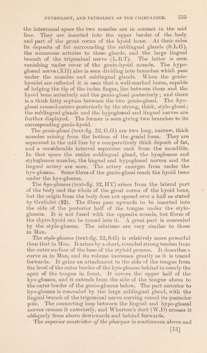 tlie interramal space the two muscles are in contact in the mid line. They are inserted into the upper border of the body and part of the great cornu of the hyoid bone. At their sides lie deposits of fat surrounding the sublingual glands (S.L.G), the numerous arteries to these glands, and the large lingual branch of the trigeminal nerve (L.B.T). The latter is seen vanishing under cover of the genio-hyoid muscle. The hypo- glossal nerve (XII) also is seen dividing into branches which pass under the muscles and sublingual glands. When the genio- hyoidei are reflected it is seen that a well-marked bursa, capable of lodging the tip of the index finger, lies between them and the hyoid bone anteriorly and the genio-glossi posteriorly ; and there is a thick fatty septum between the two genio-glossi. The hyo- glossi crossed antero-posteriorly by the strong, thick, stylo-glossi; the sublingual glands and the hypoglossal and lingual nerves are further displayed. The former is seen giving two branches to its corresponding genio-hyoid. The genio-glossi (text-fig. 32, G.G) are two long, narrow, thick muscles arising from the bottom of the genial fossa. They are separated in the mid line by a comparatively thick deposit of fat, and a considerable interval separates each from the mandible. In that space the entire sublingual gland, the hyoglossus and styloglossus muscles, the lingual and hypoglossal nerves and the lingual artery are seen. The artery emerges from under the hyo-glossus. Some fibres of the genio-glossi reach the hyoid bone under the hyo-glossus. The hyo-glossus (text-fig. 32, HY) arises from the lateral part of the body and the whole of the great cornu of the hyoid bone, but the origin from the body does not spread over a half as stated by Gratiolet (22). The fibres pass upwards to be inserted into the side of the posterior half of the tongue under the stylo- glossus. It is not fused with the opposite muscle, but fibres of the thyro-hyoid can be traced into it. A great part is concealed by the stylo-glossus. The relations are very similar to those in Man. The stylo-glossus (text-fig. 32,S.G) is relatively more powerful than that in Man. It arises by a short, rounded strong tendon from the outer surface of the base of the styloid process. It describes a curve as in Man, and its volume increases greatly as it is traced forwards. It gains an attachment to the side of the tongue from the level of the outer border of the hyo-glossus behind to nearly the apex of the tongue in front. It covers the upper half of the hyo-glossus, and it extends from the side of the tongue above to the outer border of the genio-glossus below. The part anterior to hyo-glossus is concealed by the large sublingual gland, with the lingual branch of the trigeminal nerve curving round its posterior pole. The connecting loop between the lingual and hypo-glossal nerves crosses it anteriorly, and Wharton’s duct (W.D) crosses it obliquely from above downwards and behind forwards. The superior constrictor of the pharynx is continuous above and [13]