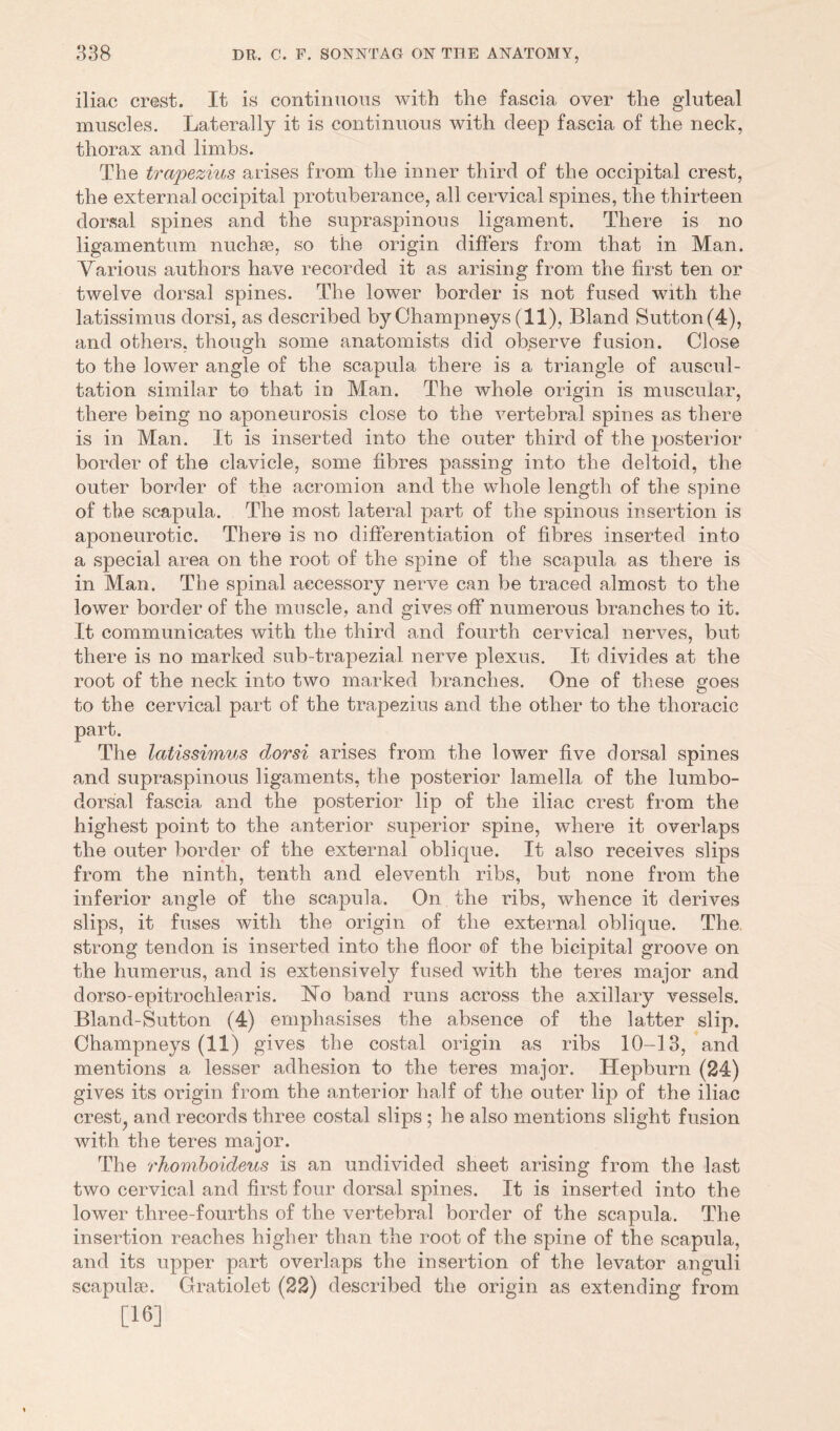 iliac crest. It is continuous with the fascia over the gluteal muscles. Laterally it is continuous with deep fascia of the neck, thorax and limbs. The trapezius arises from the inner third of the occipital crest, the external occipital protuberance, all cervical spines, the thirteen dorsal spines and the supraspinous ligament. There is no ligamentum nuchae, so the origin differs from that in Man. Various authors have recorded it as arising from the first ten or twelve dorsal spines. The lower border is not fused with the latissimus dorsi, as described by Champneys (11), Bland Sutton (4), and others, though some anatomists did observe fusion. Close to the lower angle of the scapula there is a triangle of auscul- tation similar to that in Man. The whole origin is muscular, there being no aponeurosis close to the vertebral spines as there is in Man. It is inserted into the outer third of the posterior- border of the clavicle, some fibres passing into the deltoid, the outer border of the acromion and the whole length of the spine of the scapula. The most lateral part of the spinous insertion is aponeurotic. There is no differentiation of fibres inserted into a special area on the root of the spine of the scapula as there is in Man. The spinal accessory nerve can be traced almost to the lower border of the muscle, and gives off numerous branches to it. It communicates with the third and fourth cervical nerves, but there is no marked sub-trapezial nerve plexus. It divides at the root of the neck into two marked branches. One of these goes to the cervical part of the trapezius and the other to the thoracic part. The latissimus dorsi arises from the lower five dorsal spines and supraspinous ligaments, the posterior lamella of the lumbo- dorsal fascia and the posterior lip of the iliac crest from the highest point to the anterior superior spine, where it overlaps the outer border of the external oblique. It also receives slips from the ninth, tenth and eleventh ribs, but none from the inferior angle of the scapula. On the ribs, whence it derives slips, it fuses with the origin of the external oblique. The. strong tendon is inserted into the floor of the bicipital groove on the humerus, and is extensively fused with the teres major and dorso-epitrochlearis. No band runs across the axillary vessels. Bland-Sutton (4) emphasises the absence of the latter slip. Champneys (11) gives the costal origin as ribs 10-13, and mentions a lesser adhesion to the teres major. Hepburn (24) gives its origin from the anterior half of the outer lip of the iliac crest; and records three costal slips ; he also mentions slight fusion with the teres major. The rhomboideus is an undivided sheet arising from the last two cervical and first four dorsal spines. It is inserted into the lower three-fourths of the vertebral border of the scapula. The insertion reaches higher than the root of the spine of the scapula, and its upper part overlaps the insertion of the levator anguli scapulae. Gratiolet (22) described the origin as extending from [16]