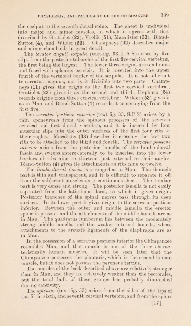 the occiput to the seventh dorsal spine. The sheet is undivided into major and minor muscles, in which it agrees with that described by Gratiolefc (22), Yrolik (51), Macalister (33), Bland- Sutton (4), and Wilder (53). Champneys (22) describes major and minor rhomboids in great detail. The levator anguli scapulae (text-fig. 33, L.A.S) arises by five slips from the posterior tubercles of the first five cervical vertebrae, the first being the largest. The lower three origins are tendinous and fused with splenius cervicis. It is inserted into the upper fourth of the vertebral border of the scapula. It is not adherent to serratus magnus, nor is it divisible into two parts. Champ- neys (11) gives the origin as the first two cervical vertebrae; Gratiolet (22) gives it as the second and third ; Hepburn (24) records origins from three cervical vertebrae ; Wilder (53) gives it as in Man, and Bland-Sutton (4) records it as springing from the first five. The serratus posticus superior (text-fig. 33, S.P.S) arises by a thin aponeurosis from the spinous processes of the seventh cervical and first dorsal vertebrae, and it is inserted by four muscular slips into the outer surfaces of the first four ribs at their angles. Macalister (33) describes it crossing the first two ribs to be attached to the third and fourth. The serratus posticus inferior arises from the posterior lamella of the lumbo-dorsal fascia and sweeps antero-laterally to be inserted into the lower borders of ribs nine to thirteen just external to their angles. Bland-Sutton (4) gives its attachments as ribs nine to twelve. The lumbo-dorsal fascia is arranged as in Man. The thoracic part is thin and transparent, and it is difficult to separate it off from the subjacent muscles as a continuous sheet. The lumbar part is very dense and strong. The posterior lamella is not easily separated from the latissimus dorsi, to which it gives origin. Posterior branches of the spinal nerves pass through its deep surface. In its lower part it gives origin to the serratus posticus inferior. Between the outer and middle lamellae the erector spinae is present, and the attachments of the middle lamella are as in Man. The quadratus lumborum lies between the moderately strong middle lamella and the weaker internal lamella, whose attachments to the arcuate ligaments of the diaphragm are as in Man. In the possession of a serratus posticus inferior the Chimpanzee resembles Man, and that muscle is one of the three charac- teristically human muscles. It will be seen later that the Chimpanzee possesses the plantaris, which is the second human muscle, but it does not possess the peroneus tertius. The muscles of the back described above are relatively stronger than in Man, and they are relatively weaker than the pectorales, but the total bulk of these groups has probably diminished during captivity. The splenius (text-fig. 33) arises from the sides of the tips of the fifth, sixth, and seventh cervical vertebrae, and from the spines [17]