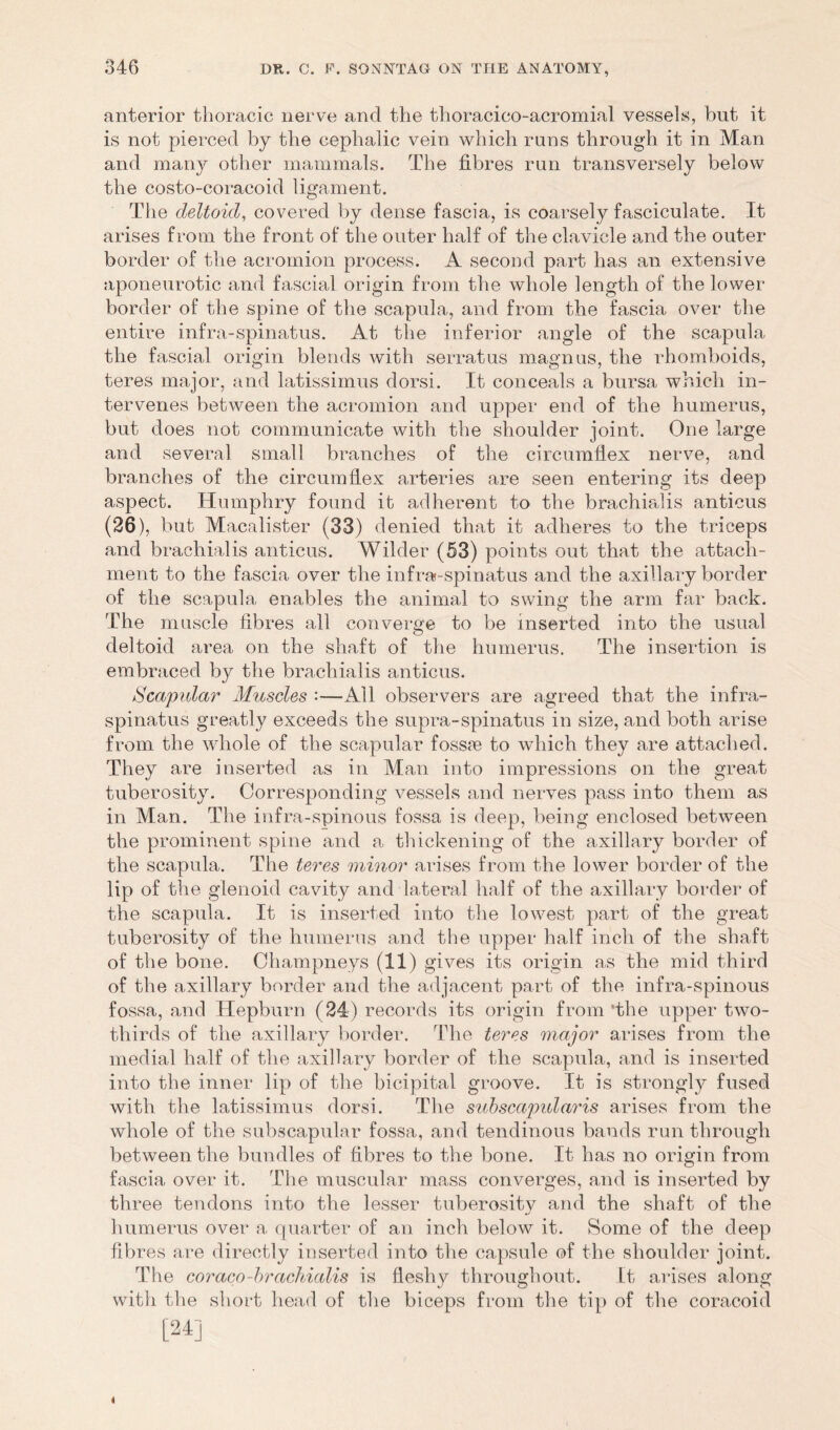 anterior thoracic nerve and the thoracico-acromial vessels, but it is not pierced by the cephalic vein which runs through it in Man and many other mammals. The fibres run transversely below the costo-coracoid ligament. The deltoid, covered by dense fascia, is coarsely fasciculate. It arises from the front of the outer half of the clavicle and the outer border of the acromion process. A second part has an extensive aponeurotic and fascial origin from the whole length of the lower border of the spine of the scapula, and from the fascia over the entire infra-spinatus. At the inferior angle of the scapula the fascial origin blends with serratus magnus, the rhomboids, teres major, and latissimus dorsi. It conceals a bursa which in- tervenes between the acromion and upper end of the humerus, but does not communicate with the shoulder joint. One large and several small branches of the circumflex nerve, and branches of the circumflex arteries are seen entering its deep aspect. Humphry found it adherent to the brachia.lis anticus (26), but Macalister (33) denied that it adheres to the triceps and brachial is anticus. Wilder (53) points out that the attach- ment to the fascia over the infra-spinatus and the axillary border of the scapula enables the animal to swing the arm far back. The muscle fibres all converge to be inserted into the usual deltoid area on the shaft of the humerus. The insertion is embraced by the brachialis anticus. Scapular Muscles :—Ail observers are agreed that the infra- spinatus greatly exceeds the supra-spinatus in size, and both arise from the whole of the scapular fossie to which they are attached. They are inserted as in Man into impressions on the great tuberosity. Corresponding vessels and nerves pass into them as in Man. The infra-spinous fossa is deep, being enclosed between the prominent spine and a thickening of the axillary border of the scapula. The teres minor arises from the lower border of the lip of the glenoid cavity and lateral half of the axillary border of the scapula. It is inserted into the lowest part of the great tuberosity of the humerus and the upper half inch of the shaft of the bone. Champneys (11) gives its origin as the mid third of the axillary border and the adjacent part of the infra-spinous fossa, and Hepburn (24) records its origin from‘the upper two- thirds of the axillary border. The teres major arises from the medial half of the axillary border of the scapula, and is inserted into the inner lip of the bicipital groove. It is strongly fused with the latissimus dorsi. The subscapidai’is arises from the whole of the subscapular fossa, and tendinous bauds run through between the bundles of fibres to the bone. It has no origin from fascia over it. The muscular mass converges, and is inserted by three tendons into the lesser tuberosity and the shaft of the humerus over a quarter of an inch below it. Some of the deep fibres are directly inserted into the capsule of the shoulder joint. The coraco-brachialis is fleshy throughout. Lt a,rises along with the short head of the biceps from the tip of the coracoid [24] 4
