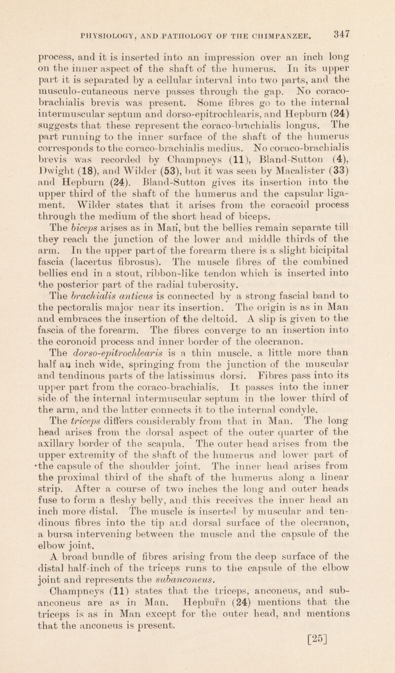 process, and it is inserted into an impression over an inch long on the inner aspect of the shaft of the humerus. In its upper part it is separated by a cellular interval into two parts, and the musculo-cutaneous nerve passes through the gap. No coraco- brachialis brevis was present. Some fibres go to the internal intermuscular septum and dorso-epitrochlearis, and Hepburn (24) suggests that these represent the coraco-brachialis longus. The part running to the inner surface of the shaft of the humerus corresponds to the coraco-brachialis medius. No coraco-brachialis brevis was recorded by Champneys (11), Bland-Sutton (4), Dwight (18), and Wilder (53), but it was seen by Macalister (33) and Hepburn (24), Bland-Sutton gives its insertion into the upper third of the shaft of the humerus and the capsular liga- ment. Wilder states that it arises from the coracoid process through the medium of the short head of biceps. The biceps arises as in Man, but the bellies remain separate till they reach the junction of the lower and middle thirds of the arm. In the upper part of the forearm there is a slight bicipital fascia (lacertus fibrosus). The muscle fibres of the combined bellies end in a stout, ribbon-like tendon which is inserted into the posterior part of the radial tuberosity. The brachialis anticus is connected b}T a strong fascial band to the pectoralis major near its insertion. The origin is as in Man and embraces the insertion of the deltoid. A. slip is given to the fascia of the forearm. The fibres converge to an insertion into o the coronoid process and inner border of the olecranon. The dorso-epitrochlearis is a thin muscle, a little more than half an inch wide, springing from the junction of the muscular and tendinous parts of the latissimus dorsi. Fibres pass into its upper part from the coraco-brachialis. It passes into the inner side of the internal intermuscular septum in the lower third of the arm, and the latter connects it to the internal condyle. The triceps differs considerably from that in Man. The long head arises from the dorsal aspect of the outer quarter of the axillary border of the scapula. The outer head arises from the upper extremity of the shaft of the humerus and lower part of •the capsule of the shoulder joint. The inner head arises from the proximal third of the shaft of the humerus along a linear strip. After a course of two inches the long and outer heads fuse to form a fleshy belly, and this receives the inner head an inch more distal. The muscle is inserted by muscular and ten- dinous fibres into the tip and dorsal surface of the olecranon, a bursa intervening between the muscle and the capsule of the elbow joint. A broad bundle of fibres arising from the deep surface of the distal half-inch of the triceps runs to the capsule of the elbow joint and represents the subanconeus. Champneys (11) states that the triceps, anconeus, and sub- anconeus are as in Man. Hepburn (24) mentions that the triceps is as in Man except for the outer head, and mentions that the anconeus is present. [25]