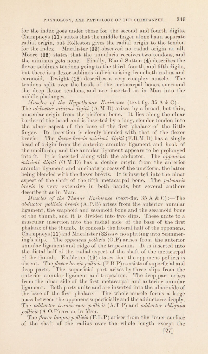 for the index goes under those for the second and fourth digits. Champneys (11) states that the middle finger alone has a separate radial origin, but Rolleston gives the radial origin to the tendon for the index. Macalister (33) observed no radial origin at all. Moore (36) states that the annularis receives two tendons, and the minimus gets none. Finally, Bland-Sutton (4) describes the flexor sublimis tendons going to the third, fourth, and fifth digits, but there is a flexor sublimis indicis arising from both radius and coronoid. Dwight (18) describes a very complex muscle. The tendons split over the heads of the metacarpal bones, surround the deep flexor tendons, and are inserted as in Man into the middle phalanges. Muscles of the Hypothenar Eminence (text-fig. 35 A & C) The abductor minimi digiti (A.M.D) arises by a broad, but thin, muscular origin from the pisiform bone. It lies along the ulnar border of the hand and is inserted by a long, slender tendon into the ulnar aspect of the base of the first phalanx of the little finger. Its insertion is closely blended with that of the flexor brevis. The flexor brevis minimi digiti (F.B.M.D) has a single head of origin from the anterior annular ligament and hook of the unciform ; and the annular ligament appears to be prolonged into it. It is inserted along with, the abductor. The opponents minimi digiti (O.M.D) has a double origin from the anterior annular ligament and uncinate process of the unciform, the latter being blended with the flexor brevis. It is inserted into the ulnar- aspect of the shaft of the fifth metacarpal bone. The palmaris brevis is very extensive in both hands, but several authors describe it as in Man. Muscles of the Thenar Eminence (text-fig. 35 A & C):-—The abductor pollicis brevis (A.P.B) arises from the anterior annular ligament, the scaphoid and sesamoid bone and the sesamoid bone of the thumb, and it is divided into two slips. These unite to a muscular insertion into the radial side of the base of the first phalanx of the thumb. It conceals the lateral half of the opponens. Champneys (11)and Macalister (33)saw no splitting into Soemmer- ing's slips. The opponens pollicis (O.P) arises from the anterior annular ligament and ridge of the trapezium. It is inserted into the distal half of the radial aspect of the shaft of the metacarpal of the thumb. Embleton (19) states that the opponens pollicis is absent. The flexor brevis pollicis (F.B.P) consists of superficial and deep parts. The superficial part arises by three slips from the anterior annular ligament and trapezium. The deep part arises from the ulnar side of the first metacarpal and anterior annular ligament. Both parts unite and are inserted into the ulnar side of the base of the first phalanx. The whole muscle forms a large mass between the opponens superficially and the adductores deeply. The adductor transversus pollicis (A.T.P) and adductor obliquus pollicis (A.O.P) are as in Man. The flexor longus pollicis (F.L.P) arises from the inner surface of the shaft of the radius over the whole length except the [27]