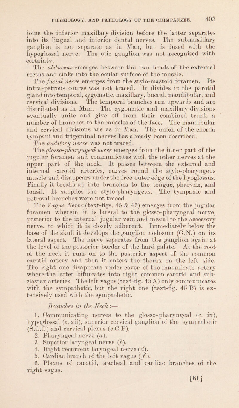 joins the inferior maxillary division before the latter separates into its lingual and inferior dental nerves. The submaxillary ganglion is not separate as in Man, but is fused with the hypoglossal nerve. The otic ganglion was not recognised with certainty. The abducens emerges between the two heads of the external rectus and sinks into the ocular surface of the muscle. The facial nerve emerges from the stylo-mastoid foramen. Its intra-petrous course was not traced. It divides in the parotid gland into temporal, zygomatic, maxillary, buccal, mandibular, and cervical divisions. The temporal branches run upwards and are distributed as in Man. The zygomatic and maxillary divisions eventually unite and give off from their combined trunk a number of branches to the muscles of the face. The mandibular and cervical divisions are as in Man. The union of the chorda tympani and trigeminal nerves has already been described. The auditory nerve was not traced. The glosso-pharyngeal nerve emerges from the inner part of the jugular foramen and communicates with the other nerves at the upper part of the neck. It passes between the external and internal carotid arteries, curves round the stylo-pharyngeus muscle and disappears under the free outer edge of the hyoglossus. Finally it breaks up into branches to the tongue, pharynx, and tonsil. It supplies the stylo-pharyngeus. The tympanic and petrosal branches were not traced. The Vagus Nerve (text-figs, 45 h 46) emerges from the jugular foramen wherein it is lateral to the glosso-pharyngeal nerve, posterior to the internal jugular vein and mesial to the accessory nerve, to which it is closely adherent. Immediately below the base of the skull it develops the ganglion nodosum (G.N.) on its lateral aspect. The nerve separates from the ganglion again at the level of the posterior border of the hard palate. At the root of the neck it runs on to the posterior aspect of the common carotid artery and then it enters the thorax on the left side. The right one disappears under cover of the innominate artery where the latter bifurcates into right common carotid and sub- clavian arteries. The left vagus (text-fig. 45 A) only communicates with the sympathetic, but the right one (text-fig. 45 B) is ex- tensively used with the sympathetic. Branches in the Neck :— 1. Communicating nerves to the glosso-pharyngeal (c. ix), hypoglossal (c. xii), superior cervical ganglion of the sympathetic (S.C.G) and cervical plexus (c.C.P). 2. Pharyngeal nerve (a). 3. Superior laryngeal nerve (b). 4. Bight recurrent laryngeal nerve (d). 5. Cardiac branch of the left vagus (f). 6. Plexus of carotid, tracheal and cardiac branches of the right vagus. [81]