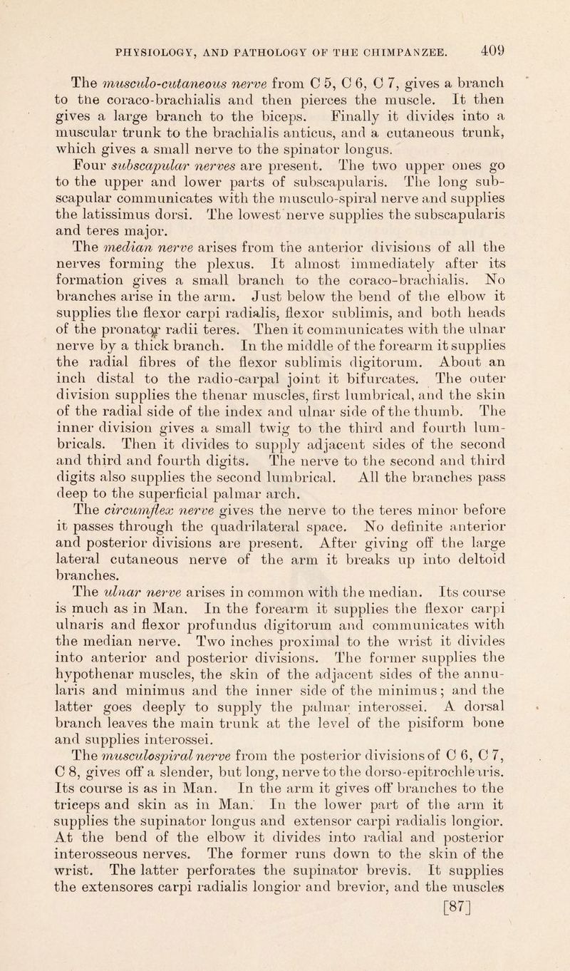 The musculo-cutaneous nerve from C 5, C 6, 0 7, gives a branch to ttie coraco-brachialis and then pierces the muscle. It then gives a large branch to the biceps. Finally it divides into a muscular trunk to the brachialis anticus, and a cutaneous trunk, which gives a small nerve to the spina tor longus. Four subsccipular nerves are present. The two upper ones go to the upper and lower parts of subscapularis. The long sub- scapular communicates with the musculo-spiral nerve and supplies the latissimus dorsi. The lowest nerve supplies the subscapularis and teres major. The median nerve arises from the anterior divisions of all the nerves forming the plexus. It almost immediately after its formation gives a small branch to the coraco-brachialis. No branches arise in the arm. Just below the bend of the elbow it supplies the flexor carpi radialis, flexor sublimis, and both heads of the pronatqy radii teres. Then it communicates with the ulnar nerve by a thick branch. In the middle of the forearm it supplies the radial fibres of the flexor sublimis digitorum. About an inch distal to the radio-carpal joint it bifurcates. The outer division supplies the thenar muscles, first lumbrical, and the skin of the radial side of the index and ulnar side of the thumb. The inner division gives a small twig to the third and fourth lum- bricals. Then it divides to supply adjacent sides of the second and third and fourth digits. The nerve to the second and third digits also supplies the second lumbrical. All the branches pass deep to the superficial palmar arch. The circumflex nerve gives the nerve to the teres minor before it passes through the quadrilateral space. No definite anterior and posterior divisions are present. After giving off the large lateral cutaneous nerve of the arm it breaks up into deltoid branches. The ulnar nerve arises in common with the median. Its course is much as in Man. In the forearm it supplies the flexor carpi ulnaris and flexor profundus digitorum and communicates with the median nerve. Two inches proximal to the wrist it divides into anterior and posterior divisions. The former supplies the hypothenar muscles, the skin of the adjacent sides of the annu- laris and minimus and the inner side of the minimus; and the latter goes deeply to supply the palmar interossei. A dorsal branch leaves the main trunk at the level of the pisiform bone and supplies interossei. The musculospiral nerve from the posterior divisions of C 6, C 7, C 8, gives off a slender, but long, nerve to the dorso-epitroclile iris. Its course is as in Man. In the arm it gives off branches to the triceps and skin as in Man. In the lower part of the arm it supplies the supinator longus and extensor carpi radialis longior. At the bend of the elbow it divides into radial and posterior interosseous nerves. The former runs down to the skin of the wrist. The latter perforates the supinator brevis. It supplies the extensores carpi radialis longior and brevior, and the muscles [87]