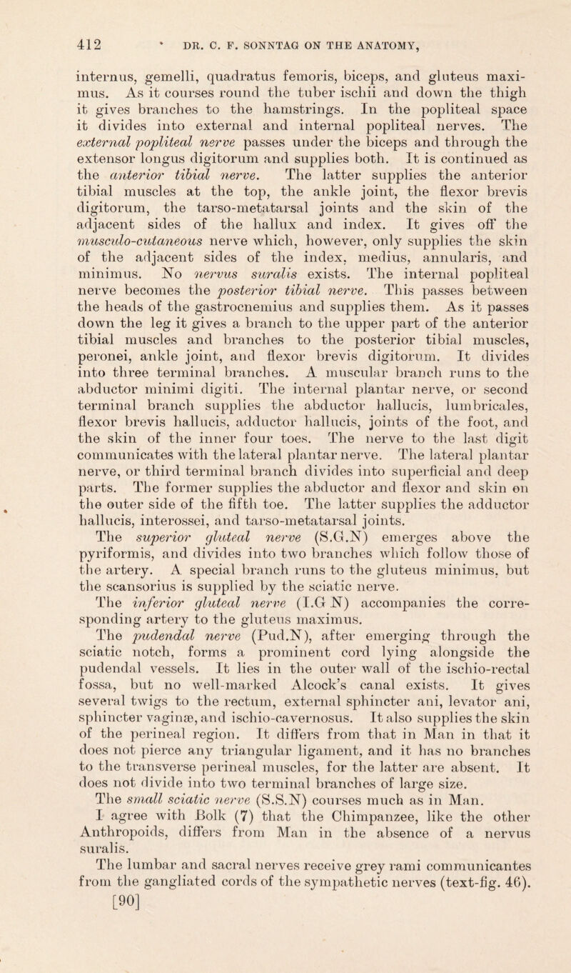 internus, gemelli, quadratus femoris, biceps, and gluteus maxi- mus. As it courses round the tuber iscliii and down the thigh it gives branches to the hamstrings. In the popliteal space it divides into external and internal popliteal nerves. The external popliteal nerve passes under the biceps and through the extensor longus digitorum and supplies both. It is continued as the anterior tibial nerve. The latter supplies the anterior tibial muscles at the top, the ankle joint, the flexor brevis digitorum, the tarso-metatarsal joints and the skin of the adjacent sides of the hallux and index. It gives off the muscido-cittaneous nerve which, however, only supplies the skin of the adjacent sides of the index, medius, annularis, and minimus. No nervus suralis exists. The internal popliteal nerve becomes the posterior tibial nerve. This passes between the heads of the gastrocnemius and supplies them. As it passes down the leg it gives a branch to the upper part of the anterior tibial muscles and branches to the posterior tibial muscles, peronei, ankle joint, and flexor brevis digitorum. It divides into three terminal branches. A muscular branch runs to the abductor minimi digiti. The internal plantar nerve, or second terminal branch supplies the abductor hallucis, lumbricales, flexor brevis hallucis, adductor hallucis, joints of the foot, and the skin of the inner four toes. The nerve to the last digit communicates with the lateral plantar nerve. The lateral plantar nerve, or third terminal branch divides into superficial and deep parts. The former supplies the abductor and flexor and skin on the outer side of the fifth toe. The latter supplies the adductor hallucis, interossei, and tarso-metatarsal joints. The superior gluteal nerve (S.G.N) emerges above the pyriformis, and divides into two branches which follow those of the artery. A special branch runs to the gluteus minimus, but the scansorius is supplied by the sciatic nerve. The inferior gluteal nerve (I.G N) accompanies the corre- sponding artery to the gluteus maximus. The pudendal nerve (Pud.N), after emerging through the sciatic notch, forms a prominent cord lying alongside the pudendal vessels. It lies in the outer wall of the ischio-rectal fossa, but no well-marked Alcock’s canal exists. It gives several twigs to the rectum, external sphincter ani, levator ani, sphincter vaginae, and ischio-cavernosus. It also supplies the skin of the perineal region. It differs from that in Man in that it does not pierce any triangular ligament, and it has no branches to the transverse perineal muscles, for the latter are absent. It does not divide into two terminal branches of large size. The small sciatic nerve (S.S.N) courses much as in Man. I agree with JBolk (7) that the Chimpanzee, like the other Anthropoids, differs from Man in the absence of a nervus suralis. The lumbar and sacral nerves receive grey rami communicantes from the gangliated cords of the sympathetic nerves (text-fig. 46). [90]