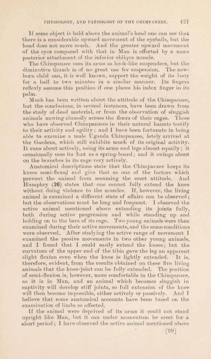 If some object is held above the animal’s head one can see that there is a considerable upward movement of the eyeballs, but the head does not move much. And the greater upward movement of the eyes compared with that in Man is effected by a more posterior attachment of the inferior oblique muscle. The Chimpanzee uses its arms as hook-like suspenders, but the diminutive thumb is of no great use for suspension. The new- born child can, it is well known, support the weight of its body for a half to two minutes in a similar manner. Its fingers reflexly assume this position if one places his index finger in its Much has been written about the attitude of the Chimpanzee, but the conclusions, in several instances, have been drawn from the study of dead material, or from the observation of sluggish animals moving clumsily across the floors of their cages. Those who have observed Chimpanzees in their natural haunts testify to their activity and agility ; and I have been fortunate in being able to examine a male Uganda Chimpanzee, lately arrived at the Gardens, which still exhibits much of its oriainal activitv. It runs about actively, using its arms and legs almost equally ; it occasionally uses its foot as a spring-board; and it swings about on the branches in its cage very actively. Anatomical descriptions state that the Chimpanzee keeps its knees semi-flexed and give that as one of the factors which prevent the animal from assuming the erect attitude. And Humphry (20) states that one cannot fully extend the knee without doing violence to the muscles. If, however, the living animal is examined a different state of affairs can be observed ; but the observations must be long and frequent. I observed the active animal mentioned above extending its joints fully, both during active progression and while standing up and holding on to the bars of its cage. Two young animals were then examined during their active movements, and the same conditions were observed. After studying the active range of movement I examined the passive movements in two other young animals, and I found that I could easily extend the knees; but the curvature of the upper end of the tibia gave the leg an apparent slight flexion even when the knee is lightly extended. It is, therefore, evident, from the results obtained on these five living animals that the knee-joint can be fully extended. The position of semi-flexion is, however, more comfortable in the Chimpanzee, as it is in Man, and an animal which becomes sluggish in captivity will develop stiff joints, so full extension of the knee will then become impossible, either actively or passively. And I believe that some anatomical accounts have been based on the examination of limbs so affected. If the animal were deprived of its arms it could not stand upright like Man, but it can under momentum be erect for a short period; I have observed the active animal mentioned above [99]