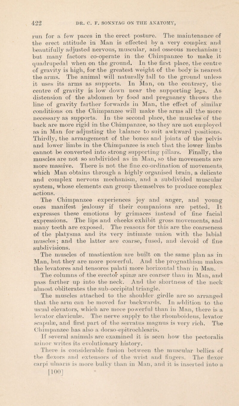 run for a few paces in the erect posture. The maintenance of the erect attitude in Man is effected by a very complex and beautifully adjusted nervous, muscular, and osseous mechanism ; but many factors co-operate in the Chimpanzee to make it quadrupedal when on the ground. In the first place, the centre of gravity is high, for the greatest weight of the body is nearest the arms. The animal will naturally fall to the ground unless it uses its arms as supports. In Man, on the contrary, the centre of gravity is low down near the supporting legs. As distension of the abdomen by food and pregnancy throws the line of gravity farther forwards in Man, the effect of similar conditions on the Chimpanzee will make the arms all the more necessary as supports. In the second place, the muscles of the back are more rigid in the Chimpanzee, so they are not employed as in Man for adjusting the balance to suit awkward positions. Thirdly, the arrangement of the bones and joints of the pelvis and lower limbs in the Chimpanzee is such that the lower limbs cannot be converted into strong supporting pillars. Finally, the muscles are not so subdivided as in Man, so the movements are more massive. There is not the fine co-ordination of movements, which Man obtains through a highly organised brain, a delicate and complex nervous mechanism, and a subdivided muscular system, whose elements can group themselves to produce complex actions. The Chimpanzee experiences joy and anger, and young ones manifest jealousy if their companions are petted. It expresses these emotions by grimaces instead of fine facial expressions. The lips and cheeks exhibit gross movements, and many teeth are exposed. The reasons for this are the coarseness of the platysma and its very intimate union with the labial muscles; and the latter are coarse, fused, and devoid of fine subdivisions. The muscles of mastication are built on the same plan as in Man, but they are more powerful. And the prognathism makes the levatores and tensores palati more horizontal than in Man. The columns of the erector spinse are coarser than in Man, and pass farther up into the neck. And the shortness of the neck almost obliterates the sub-occipital, triangle. The muscles attached to the shoulder girdle are so arranged that the arm can be moved far backwards. In addition to the usual elevators, which are more powerful than in Man, there is a levator claviculae. The nerve supply to the rhomboideus, levator scapulae, and first part of the serratus magnus is very rich. The Chimpanzee has also a dorso-epitroclilearis. If several animals are examined it is seen how the pectoralis minor writes its evolutionary history. There is considerable fusion between the muscular bellies of the flexors and extensors of the wrist and fingers. The flexor carpi ulnaris is more bulky than in Man, and it is inserted into a [100]