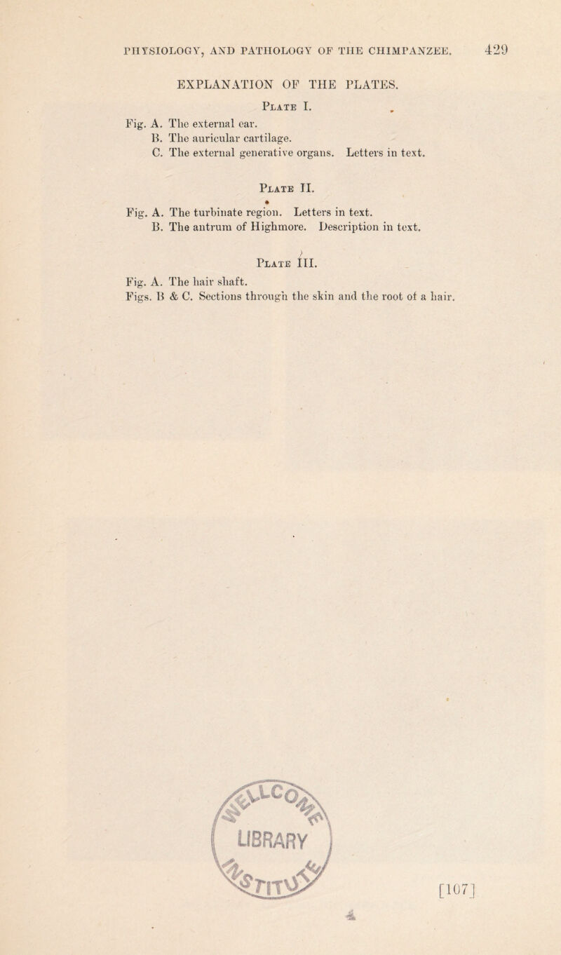 EXPLANATION OF THE PLATES. Plate I. Fig. A. The external ear. B. The auricular cartilage. C. The external generative organs. Letters in text. Plate II. Fig. A. The turbinate region. Letters in text. B. The antrum of Highmore. Description in text. Plate III. Fig. A. The hair shaft. Figs. B & C. Sections through the skin and the root of a hair. [107]