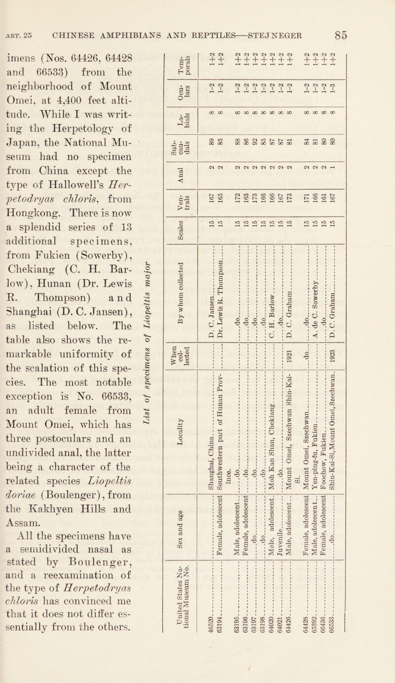 imens (Nos. 64426, 64428 and 66533) from the neighborhood of Mount Omei, at 4,400 feet alti- tude. While I was writ- ing the Herpetology of Japan, the National Mu- seum had no specimen from China except the type of Hallowell’s Her- petodryas chloris, from Hongkong. There is now a splendid series of 13 additional specimens, from Fukien (Sowerby), Chekiang (C. H. Bar- .|, low), Hunan (Dr. Lewis § R. Thompson) and 5 Shanghai (D. C. Jansen), | as listed below. The ^ table also shows the re- o' markable uniformity of 1 the scalation of this spe- -1 cies. The most notable <50 exception is No. 66533, ^ an adult female from •<s> Mount Omei, which has ^ three postoculars and an undivided anal, the latter being a character of the related species Liopeltis doriae (Boulenger), from the Kakhyen Hills and Assam. All the specimens have a semidivided nasal as stated by Boulenger, and a reexamination of the type of Herpetodryas chloris has convinced me that it does not differ es- sentially from the others. i CG S’? CM CM CM CM CM CM CM CM CM CM CM CM CM + 4- “1—1—1—1—1—1—b + + + + iH H i-4 Ag • co P 5d o d 1-2 1-2 CM 1 rH 1-2 CM 1 rH CM 1 rH 1-2 1-2 1-2 1-2 CM rH CM 1 rH 1-3 00 OO CO 00 00 00 00 00 00 00 00 00 00 <3 CS o 40 00 CO CM 40 H H4 rH o o 2 £23 oo 00 00 00 05 00 00 oo 00 00 00 00 00 CO CM CM CM CM CM CM CM CM CM CM CM CM rH C3 a A “ 40 CM CO CO co co CO H CO rH r- CO CO CO co co CO CO CO CO s ^ 1—1 i-H r-4 i-H iH rH rH H H H r—i rH rH >> 4-3 CO 40 lO 40 40 40 40 40 40 40 40 40 40 40 <D iH T—1 rH rH rH rH rH rH rH rH rH iH rH d O m 0) 4-3 o P o a <D B o O d 31 3! o g *—1 <D ri P o -P a <D CO d rP O P d ,p * t>> p d CO H 03 PP d Jh O CQ d d S-H o m o o O o o o o O 13 y 13 W 13 d y <D d y d . P • . Q Q d ft <c fi a 13 1923 CD * <© f3 ° O 1921 o 'd i > i d « P d M & PM 31 P o a •rH CD d rP S3 a bX) m CQ H K P $5 P d p d & rP O (D S3 CO • rH <D a *s d Locality 03 g 3 o «H o 4-3 J-H d Q. P s-< <D M <D 31 o (3 c3 rH rH m £ rP o CD S3 m • rH a p CD • rH 31 J3 fA 5 a CD 3 3 fA n O -u a 3 o y s *3 CO <D P d o o sic 6t 1 d 31 bJD £ <D o 6 o o M o 4-3 P 4-3 P •d O a xd M P d 4-3 d O P 13 13 13 Tl ,P O 13 !3 .3 d o i a O o (3 • rH 3! CO o CO y y 2 o 3! CO 4-3 4-3) i 1 4-3 i 4-3 3 a 4-3 1 H t 3 <D 4-3 CD a 4-3 <D 4-3 <D a a O CD P O p O CD tUO d CO <D r/) O r/j zn <o O a> C/J <D 1—H o CD <o <D o CO '6 CO 'o CO CD O yd Tl o 13 13 d O d •d O d O d a 13 d 13 13 cc3 <o d a5 d CD d CD X CD a dT F—H d d o O d CD P <D d d cd d d op- CO 03 P CO > d p d CD § <D d Hi S CD y CD fin (jo ££ CO P CD 2 4-3 d d <D -4-3 CO m d 'd^j CD ^ 43 <—i c3 o 40 co L- 00 o tH CO CO CM co CO 2.0 CM 05 05 05 05 05 CM CM CM CM 05 co CO 40 r*H 1—4 r—4 i—1 i—4 O O CO Tt4 40 co CO co CO CO co hH 40 CO CO CO CO CO CO co CO CO co CO CO co CO