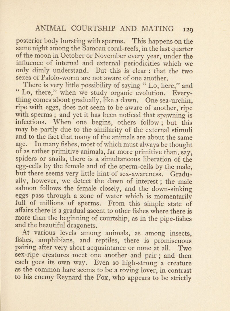 posterior body bursting with sperms. This happens on the same night among the Samoan coral-reefs, in the last quarter of the moon in October or November every year, under the influence of internal and external periodicities which we only dimly understand. But this is clear : that the two sexes of Palolo-worm are not aware of one another. There is very little possibility of saying “ Lo, here,” and “ Lo, there,” when we study organic evolution. Every- thing comes about gradually, like a dawn. One sea-urchin, ripe with eggs, does not seem to be aware of another, ripe with sperms ; and yet it has been noticed that spawning is infectious. When one begins, others follow; but this may be partly due to the similarity of the external stimuli and to the fact that many of the animals are about the same age. In many fishes, most of which must always be thought of as rather primitive animals, far more primitive than, say, spiders or snails, there is a simultaneous liberation of the egg-cells by the female and of the sperm-cells by the male, but there seems very little hint of sex-awareness. Gradu- ally, however, we detect the dawn of interest ; the male salmon follows the female closely, and the down-sinking eggs pass through a zone of water which is momentarily full of millions of sperms. From this simple state of affairs there is a gradual ascent to other fishes where there is more than the beginning of courtship, as in the pipe-fishes and the beautiful dragonets. At various levels among animals, as among insects, fishes, amphibians, and reptiles, there is promiscuous pairing after very short acquaintance or none at all. Two sex-ripe creatures meet one another and pair ; and then each goes its own way. Even so high-strung a creature as the common hare seems to be a roving lover, in contrast to his enemy Reynard the Fox, who appears to be strictly