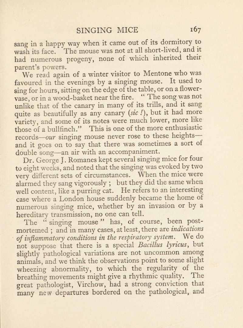 sang in a happy way when it came out of its dormitory to wash its face. The mouse was not at all short-lived, and it had numerous progeny, none of which inherited their parent’s powers. We read again of a winter visitor to Mentone who was favoured in the evenings by a singing mouse. It used to sing for hours, sitting on the edge of the table, or on a flower- vase, or in a wood-basket near the fire. “ The song vvas not unlike that of the canary in many of its trills, and it sang quite as beautifully as any canary (sic /), but it had more variety, and some of its notes were much lower, more like those of a bullfinch.” This is one of the more enthusiastic records—our singing mouse never rose to these heights and it goes on to say that there was sometimes a sort of double song—an air with an accompaniment. Dr. George ]. Romanes kept several singing mice for four to eight weeks, and noted that the singing was evoked by two very different sets of circumstances. When the mice were alarmed they sang vigorously ; but they did the same when well content, like a purring cat. He refers to an interesting case where a London house suddenly became the home of numerous singing mice, whether by an invasion or by a hereditary transmission, no one can tell. The “ singing mouse ” has, of course, been post- mortemed ; and in many cases, at least, there are indications of inflammatory conditions in the respiratory system. We do not suppose that there is a special Bacillus lyricus, but slightly pathological variations are not uncommon among animals, and we think the observations point to some slight wheezing abnormality, to which the regularity of the breathing movements might give a rhythmic quality. The great pathologist, Virchow, had a strong conviction that many new departures bordered on the pathological, and