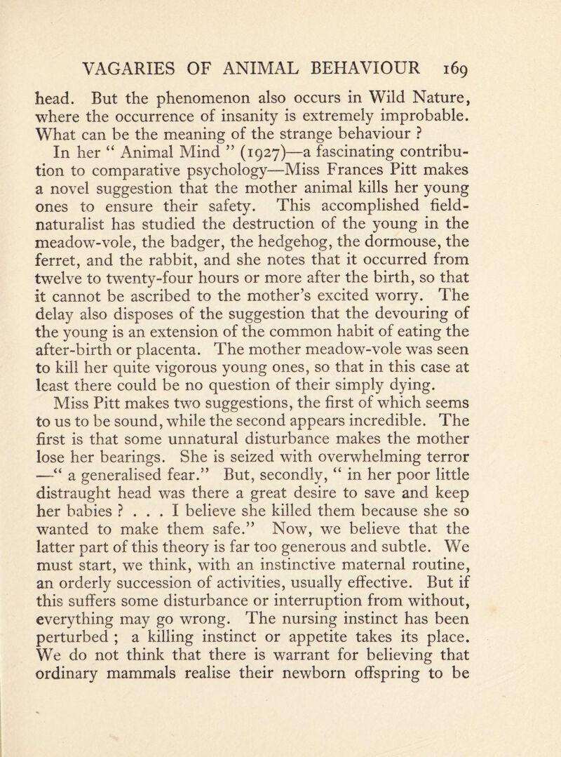 head. But the phenomenon also occurs in Wild Nature, where the occurrence of insanity is extremely improbable. What can be the meaning of the strange behaviour ? In her “ Animal Mind ” (1927)—a fascinating contribu- tion to comparative psychology—Miss Frances Pitt makes a novel suggestion that the mother animal kills her young ones to ensure their safety. This accomplished field- naturalist has studied the destruction of the young in the meadow-vole, the badger, the hedgehog, the dormouse, the ferret, and the rabbit, and she notes that it occurred from twelve to twenty-four hours or more after the birth, so that it cannot be ascribed to the mother’s excited worry. The delay also disposes of the suggestion that the devouring of the young is an extension of the common habit of eating the after-birth or placenta. The mother meadow-vole was seen to kill her quite vigorous young ones, so that in this case at least there could be no question of their simply dying. Miss Pitt makes two suggestions, the first of which seems to us to be sound, while the second appears incredible. The first is that some unnatural disturbance makes the mother lose her bearings. She is seized with overwhelming terror —-“ a generalised fear.” But, secondly, “ in her poor little distraught head was there a great desire to save and keep her babies ? . . . I believe she killed them because she so wanted to make them safe.” Now, we believe that the latter part of this theory is far too generous and subtle. We must start, we think, with an instinctive maternal routine, an orderly succession of activities, usually effective. But if this suffers some disturbance or interruption from without, everything may go wrong. The nursing instinct has been perturbed ; a killing instinct or appetite takes its place. We do not think that there is warrant for believing that ordinary mammals realise their newborn offspring to be