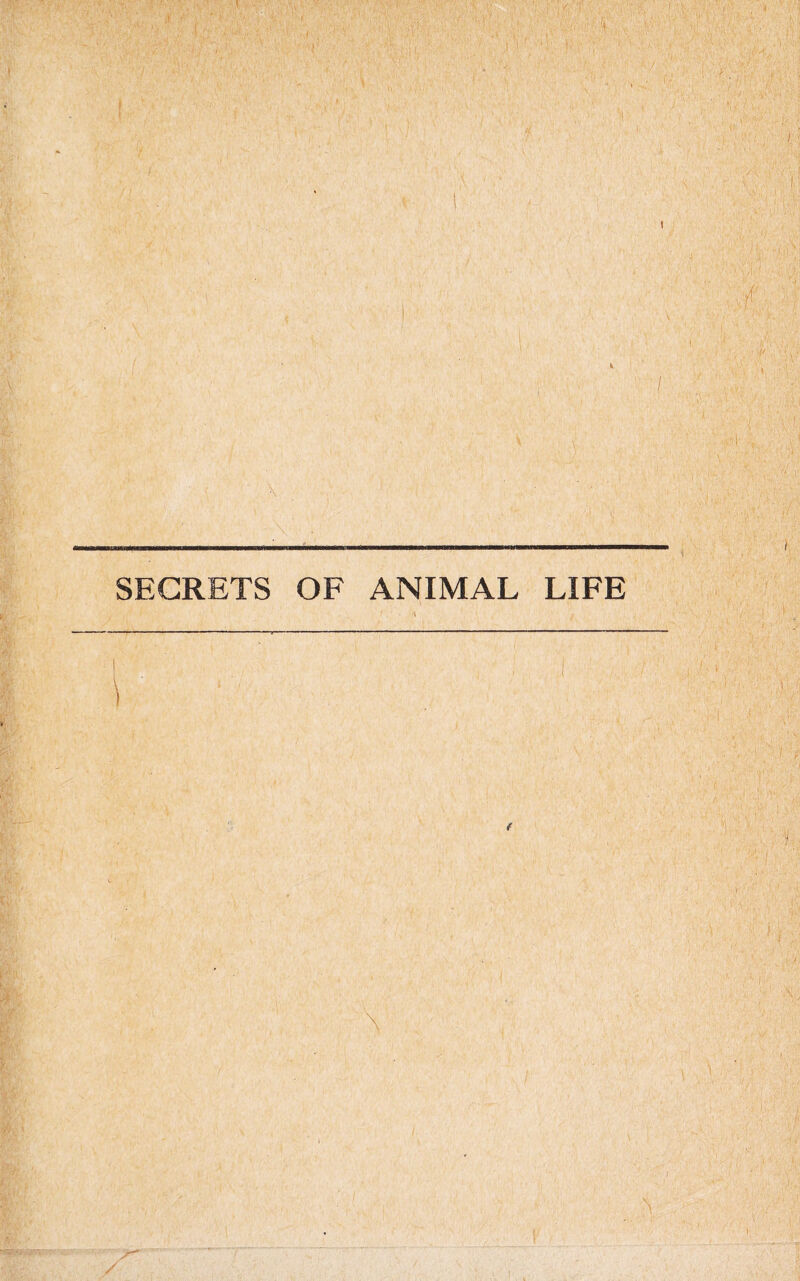 SECRETS OF ANIMAL LIFE • <\ ■ I I r ■ \ /