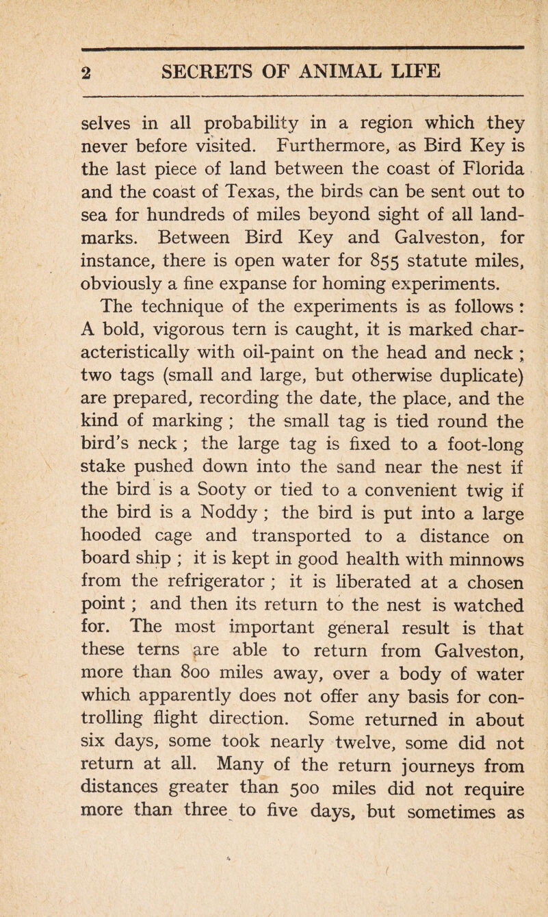 selves in all probability in a region which they never before visited. Furthermore, as Bird Key is the last piece of land between the coast of Florida and the coast of Texas, the birds can be sent out to sea for hundreds of miles beyond sight of all land- marks. Between Bird Key and Galveston, for instance, there is open water for 855 statute miles, obviously a fine expanse for homing experiments. The technique of the experiments is as follows : A bold, vigorous tern is caught, it is marked char- acteristically with oil-paint on the head and neck ; two tags (small and large, but otherwise duplicate) are prepared, recording the date, the place, and the kind of marking ; the small tag is tied round the bird’s neck ; the large tag is fixed to a foot-long stake pushed down into the sand near the nest if the bird is a Sooty or tied to a convenient twig if the bird is a Noddy ; the bird is put into a large hooded cage and transported to a distance on board ship ; it is kept in good health with minnows from the refrigerator ; it is liberated at a chosen point; and then its return to the nest is watched for. The most important general result is that these terns pxe able to return from Galveston, more than 800 miles away, over a body of water which apparently does not offer any basis for con- trolling flight direction. Some returned in about six days, some took nearly twelve, some did not return at all. Many of the return journeys from distances greater than 500 miles did not require more than three to five days, but sometimes as