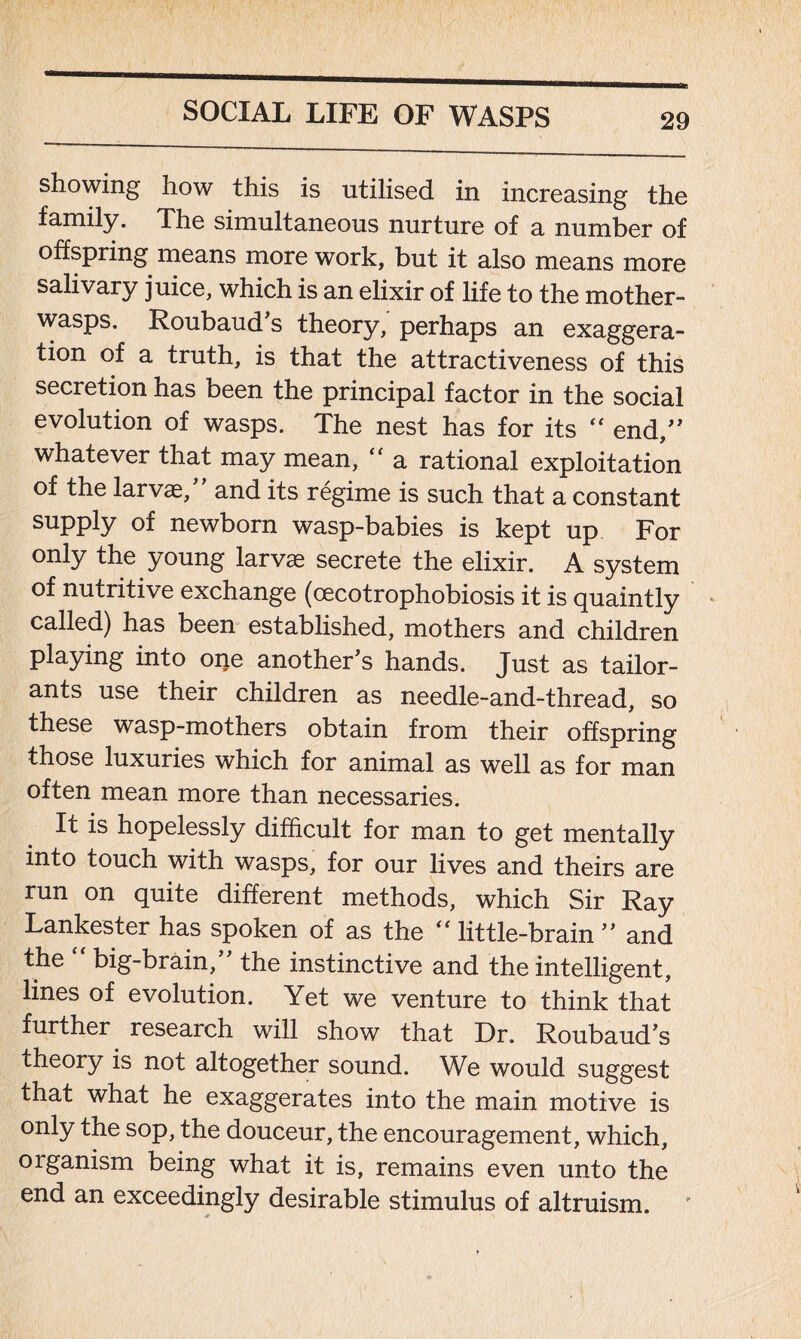 showing how this is utilised in increasing the family. The simultaneous nurture of a number of offspring means more work, but it also means more salivary juice, which is an elixir of life to the mother- wasps. Roubaud s theory, perhaps an exaggera- tion of a truth, is that the attractiveness of this secretion has been the principal factor in the social evolution of wasps. The nest has for its  end,” whatever that may mean, “ a rational exploitation of the larvae, and its regime is such that a constant supply of newborn wasp-babies is kept up For only the young larvae secrete the elixir. A system of nutritive exchange (cecotrophobiosis it is quaintly called) has been established, mothers and children playing into oqe another’s hands. Just as tailor- ants use their children as needle-and-thread, so these wasp-mothers obtain from their offspring those luxuries which for animal as well as for man often mean more than necessaries. It is hopelessly difficult for man to get mentally into touch with wasps, for our lives and theirs are run on quite different methods, which Sir Ray Lankester has spoken of as the “little-brain” and the “ big-brain,” the instinctive and the intelligent, lines of evolution. Yet we venture to think that further research will show that Dr. Roubaud’s theory is not altogether sound. We would suggest that what he exaggerates into the main motive is only the sop, the douceur, the encouragement, which, organism being what it is, remains even unto the end an exceedingly desirable stimulus of altruism.