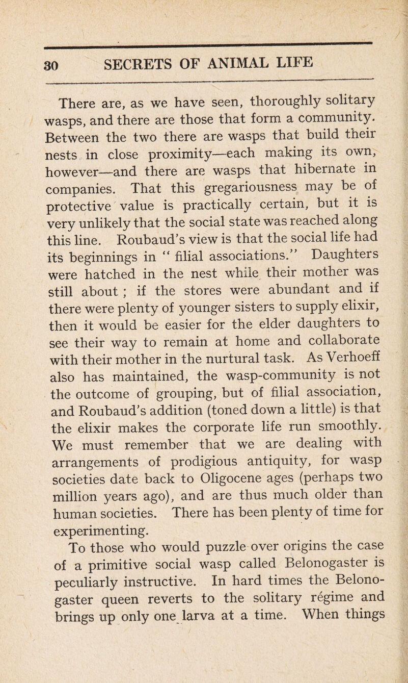There are, as we have seen, thoroughly solitary wasps, and there are those that form a community. Between the two there are wasps that build their nests in close proximity—each making its own, however—and there are wasps that hibernate in companies. That this gregariousness may be of protective value is practically certain, but it is very unlikely that the social state was reached along this line. Roubaud’s view is that the social life had its beginnings in “ filial associations/’ Daughters were hatched in the nest while their mother was still about ; if the stores were abundant and if there were plenty of younger sisters to supply elixir, then it would be easier for the elder daughters to see their way to remain at home and collaborate with their mother in the nurtural task. As Verhoeff also has maintained, the wasp-community is not the outcome of grouping, but of filial association, and Roubaud’s addition (toned down a little) is that the elixir makes the corporate life run smoothly. We must remember that we are dealing with arrangements of prodigious antiquity, for wasp societies date back to Oligocene ages (perhaps two million years ago), and are thus much older than human societies. There has been plenty of time for experimenting. To those who would puzzle over origins the case of a primitive social wasp called Belonogaster is peculiarly instructive. In hard times the Belono- gaster queen reverts to the solitary regime and brings up only one larva at a time. When things