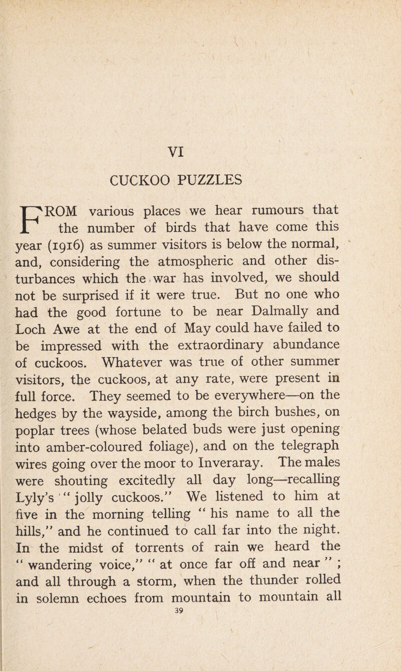 VI CUCKOO PUZZLES ROM various places we hear rumours that the number of birds that have come this year (1916) as summer visitors is below the normal, and, considering the atmospheric and other dis- turbances which the war has involved, we should not be surprised if it wTere true. But no one who had the good fortune to be near Dalmally and Loch Awe at the end of May could have failed to be impressed with the extraordinary abundance of cuckoos. Whatever was true of other summer visitors, the cuckoos, at any rate, were present in full force. They seemed to be everywhere—on the hedges by the wayside, among the birch bushes, on poplar trees (whose belated buds were just opening into amber-coloured foliage), and on the telegraph wires going over the moor to Inveraray. The males were shouting excitedly all day long—recalling Lyly’s jolly cuckoos/’ We listened to him at five in the morning telling “ his name to all the hills,” and he continued to call far into the night. In the midst of torrents of rain we heard the “ wandering voice,” “ at once far off and near ” ; and all through a storm, when the thunder rolled in solemn echoes from mountain to mountain all