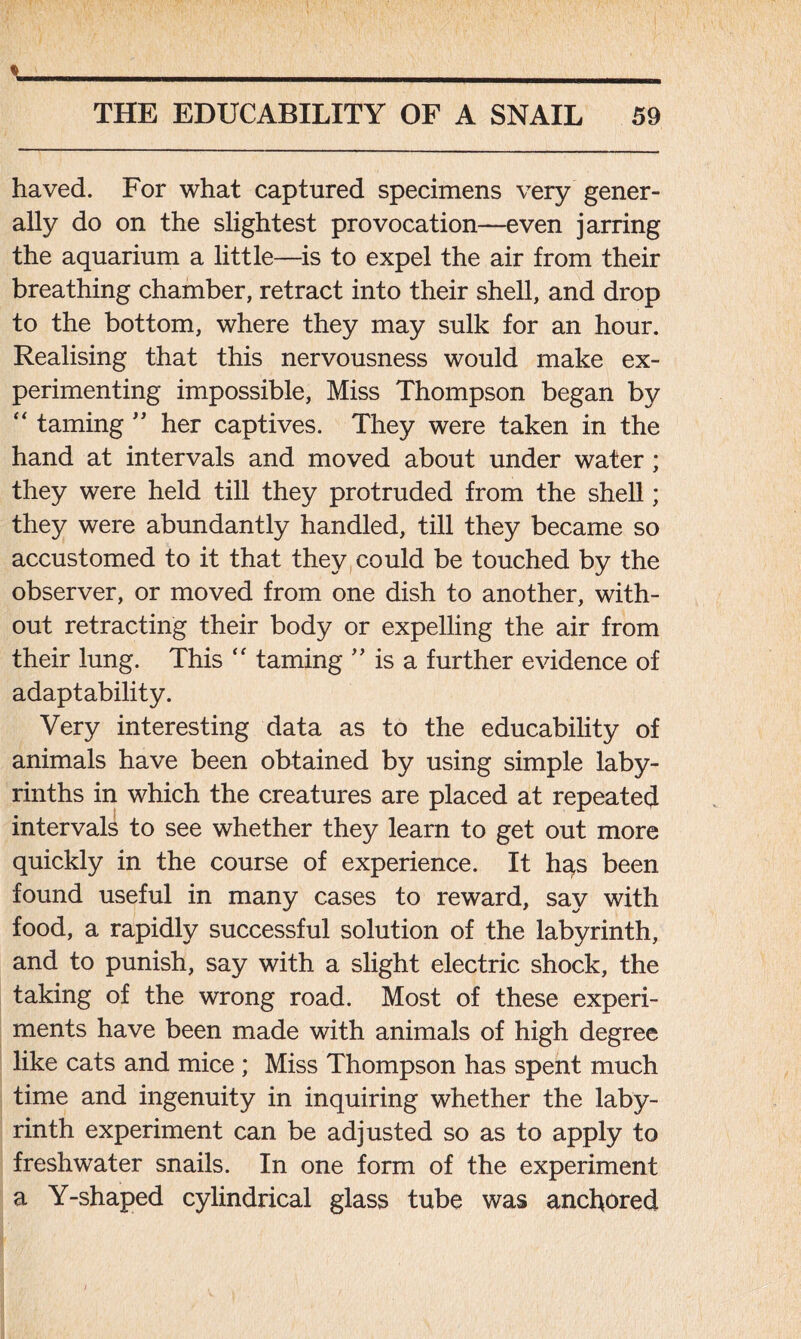 haved. For what captured specimens very gener- ally do on the slightest provocation—even jarring the aquarium a little—is to expel the air from their breathing chamber, retract into their shell, and drop to the bottom, where they may sulk for an hour. Realising that this nervousness would make ex- perimenting impossible, Miss Thompson began by “ taming ” her captives. They were taken in the hand at intervals and moved about under water; they were held till they protruded from the shell; they were abundantly handled, till they became so accustomed to it that they could be touched by the observer, or moved from one dish to another, with- out retracting their body or expelling the air from their lung. This “ taming ” is a further evidence of adaptability. Very interesting data as to the educability of animals have been obtained by using simple laby- rinths in which the creatures are placed at repeated intervals to see whether they learn to get out more quickly in the course of experience. It has been found useful in many cases to reward, say with food, a rapidly successful solution of the labyrinth, and to punish, say with a slight electric shock, the taking of the wrong road. Most of these experi- ments have been made with animals of high degree like cats and mice ; Miss Thompson has spent much time and ingenuity in inquiring whether the laby- rinth experiment can be adjusted so as to apply to freshwater snails. In one form of the experiment a Y-shaped cylindrical glass tube was anchored