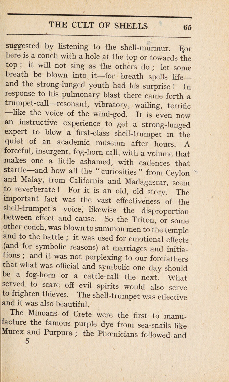 suggested by listening to the shell-murmur. IJor here is a conch with a hole at the top or towards the top ; it will not sing as the others do ; let some breath be blown into it—for breath spells life and the strong-lunged youth had his surprise ! In response to his pulmonary blast there came forth a trumpet-call resonant, vibratory, wailing, terrific like the voice of the wind-god. It is even now an instructive experience to get a strong-lunged expert to blow a first-class shell-trumpet m the quiet of an academic museum after hours. A forceful, insurgent, fog-horn call, with a volume that makes one a little ashamed, with cadences that startle and how all the “ curiosities ” from Ceylon ' and Malay, from California and Madagascar, seem to reverberate ! For it is an old, old story. The important fact was the vast effectiveness of the shell-trumpet s voice, likewise the disproportion between effect and cause. So the Triton, or some other conch, was blown to summon men to the temple and to the battle ; it was used for emotional effects (and for symbolic reasons) at marriages and initia- tions , and it was not perplexing to our forefathers that what was official and symbolic one day should be a fog-horn or a cattle-call the next. What served to scare off evil spirits would also serve to frighten thieves. The shell-trumpet was effective and it was also beautiful. The Minoans of Crete were the first to manu- facture the famous purple dye from sea-snails like Murex and Purpura; the Phoenicians followed and 5