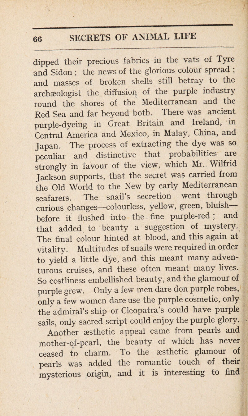 dipped their precious fabrics in the vats of Tyre and Sidon ; the news of the glorious colour spread ; and masses of broken shells still betray to the archaeologist the diffusion of the purpie industry round the shores of the Mediterranean and the Red Sea and far beyond both. There was ancient purple-dyeing in Great Britain and Iieland, in Central America and Mexico, in Malay, China, and Japan. The process of extracting the dye was so peculiar and distinctive that probabilities are strongly in favour of the view, which Mr. Wilfrid Jackson supports, that the secret was carried from the Old World to the New by early Mediterranean seafarers. The snail's secretion went through curious changes—colourless, yellow, green, bluish before it flushed into the fine purple-red; and that added to beauty a suggestion of mystery. The final colour hinted at blood, and this again at vitality. Multitudes of snails were required in order to yield a little dye, and this meant many adven- turous cruises, and these often meant many lives. So costliness embellished beauty, and the glamour of purple grew. Only a few men dare don purple robes, only a few women dare use the purple cosmetic, only the admiral’s ship or Cleopatra’s could have purple sails, only sacred script could enjoy the purple glory. Another aesthetic appeal came from pearls and mother-of-pearl, the beauty of which has never ceased to charm. To the aesthetic glamour of pearls was added the romantic touch of their mysterious origin, and it is interesting to find
