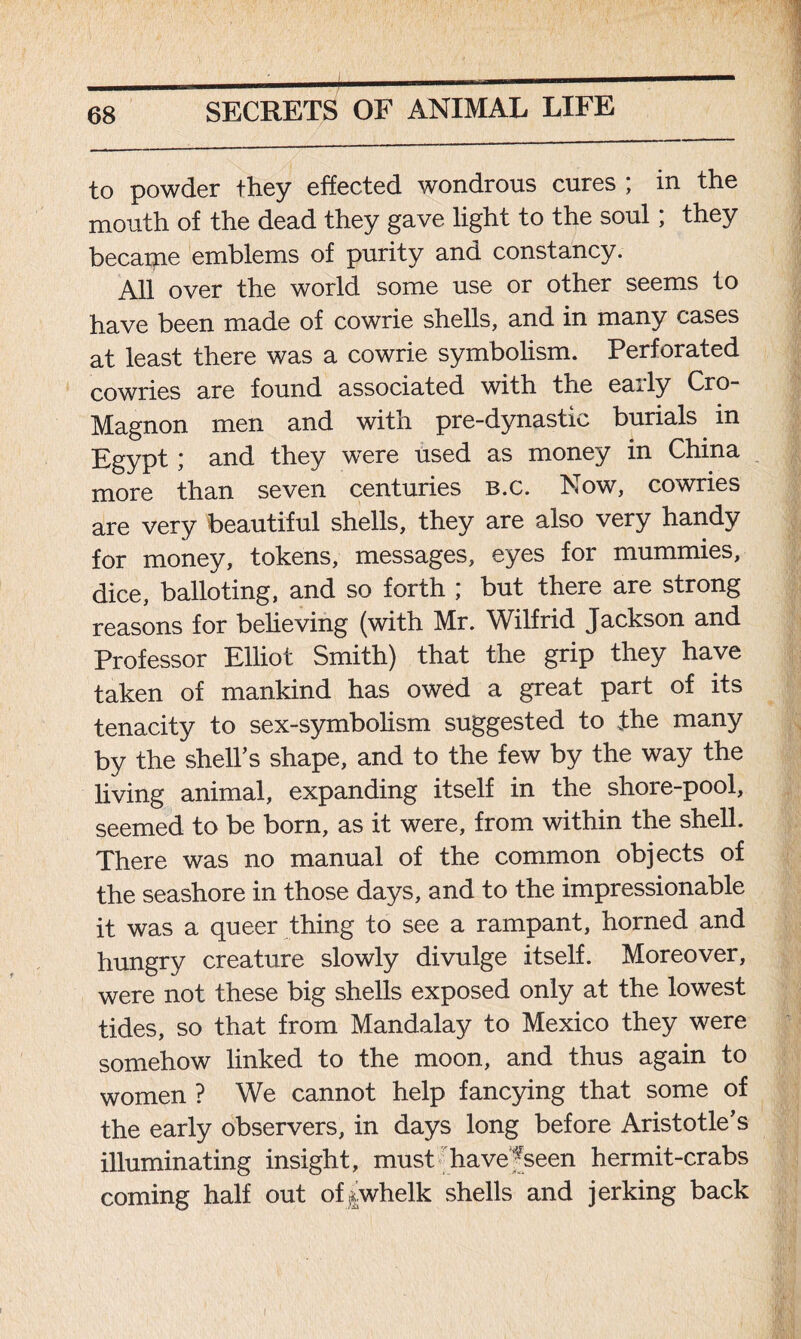 to powder they effected wondrous cures ; in the mouth of the dead they gave light to the soul; they became emblems of purity and constancy. All over the world some use or other seems to have been made of cowrie shells, and in many cases at least there was a cowrie symbolism. Perforated cowries are found associated with the early Cro- Magnon men and with pre-dynastic burials in Egypt ; and they were used as money in China more than seven centuries b.c. Now, cowries are very beautiful shells, they are also very handy for money, tokens, messages, eyes for mummies, dice, balloting, and so forth ; but there are strong reasons for believing (with Mr. Wilfrid Jackson and Professor Elliot Smith) that the grip they have taken of mankind has owed a great part of its tenacity to sex-symbolism suggested to .the many by the shell’s shape, and to the few by the way the living animal, expanding itself in the shore-pool, seemed to be born, as it were, from within the shell. There was no manual of the common objects of the seashore in those days, and to the impressionable it was a queer thing to see a rampant, horned and hungry creature slowly divulge itself. Moreover, were not these big shells exposed only at the lowest tides, so that from Mandalay to Mexico they were somehow linked to the moon, and thus again to women ? We cannot help fancying that some of the early observers, in days long before Aristotle’s illuminating insight, must have'fseen hermit-crabs coming half out of vwhelk shells and jerking back l