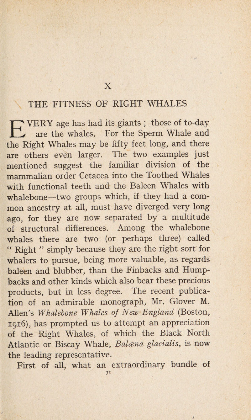 X THE FITNESS OF RIGHT WHALES EVERY age has had its giants ; those of to-day are the whales. For the Sperm Whale and the Right Whales may be fifty feet long, and there are others even larger. The two examples just mentioned suggest the familiar division of the mammalian order Cetacea into the Toothed Whales with functional teeth and the Baleen Whales with whalebone—two groups which, if they had a com- mon ancestry at all, must have diverged very long ago, for they are now separated by a multitude of structural differences. Among the whalebone whales there are two (or perhaps three) called “ Right ” simply because they are the right sort for whalers to pursue, being more valuable, as regards baleen and blubber, than the Finbacks and Hump- backs and other kinds which also bear these precious products, but in less degree. The recent publica- tion of an admirable monograph, Mr. Glover M. Allen’s Whalebone Whales of New England (Boston, 1916), has prompted us to attempt an appreciation of the Right Whales, of which the Black North Atlantic or Biscay Whale, Balcena glacialis, is now the leading representative. First of all, what an extraordinary bundle of 7*