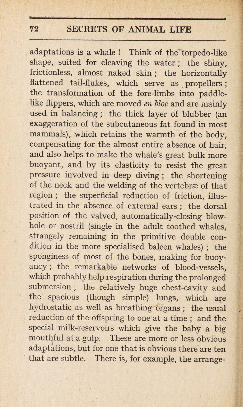 adaptations is a whale ! Think of the torpedo-like shape, suited for cleaving the water ; the shiny, frictionless, almost naked skin ; the horizontally flattened tail-flukes, which serve as propellers; the transformation of the fore-limbs into paddle- like flippers, which are moved en Hoc and are mainly used in balancing; the thick layer of blubber (an exaggeration of the subcutaneous fat found in most mammals), which retains the warmth of the body, compensating for the almost entire absence of hair, and also helps to make the whale’s great bulk more buoyant, and by its elasticity to resist the great pressure involved in deep diving; the shortening of the neck and the welding of the vertebrae of that region ; the superficial reduction of friction, illus- trated in the absence of external ears ; the dorsal position of the valved, automatically-closing blow- hole or nostril (single in the adult toothed whales, strangely remaining in the primitive double con- dition in the more specialised baleen whales) ; the sponginess of most of the bones, making for buoy- ancy ; the remarkable networks of blood-vessels, which probably help respiration during the prolonged submersion ; the relatively huge chest-cavity and the spacious (though simple) lungs, which are hydrostatic as well as breathing organs ; the usual reduction of the offspring to one at a time ; and the special milk-reservoirs which give the baby a big mouthful at a gulp. These are more or less obvious adaptations, but for one that is obvious there are ten that are subtle. There is, for example, the arrange-