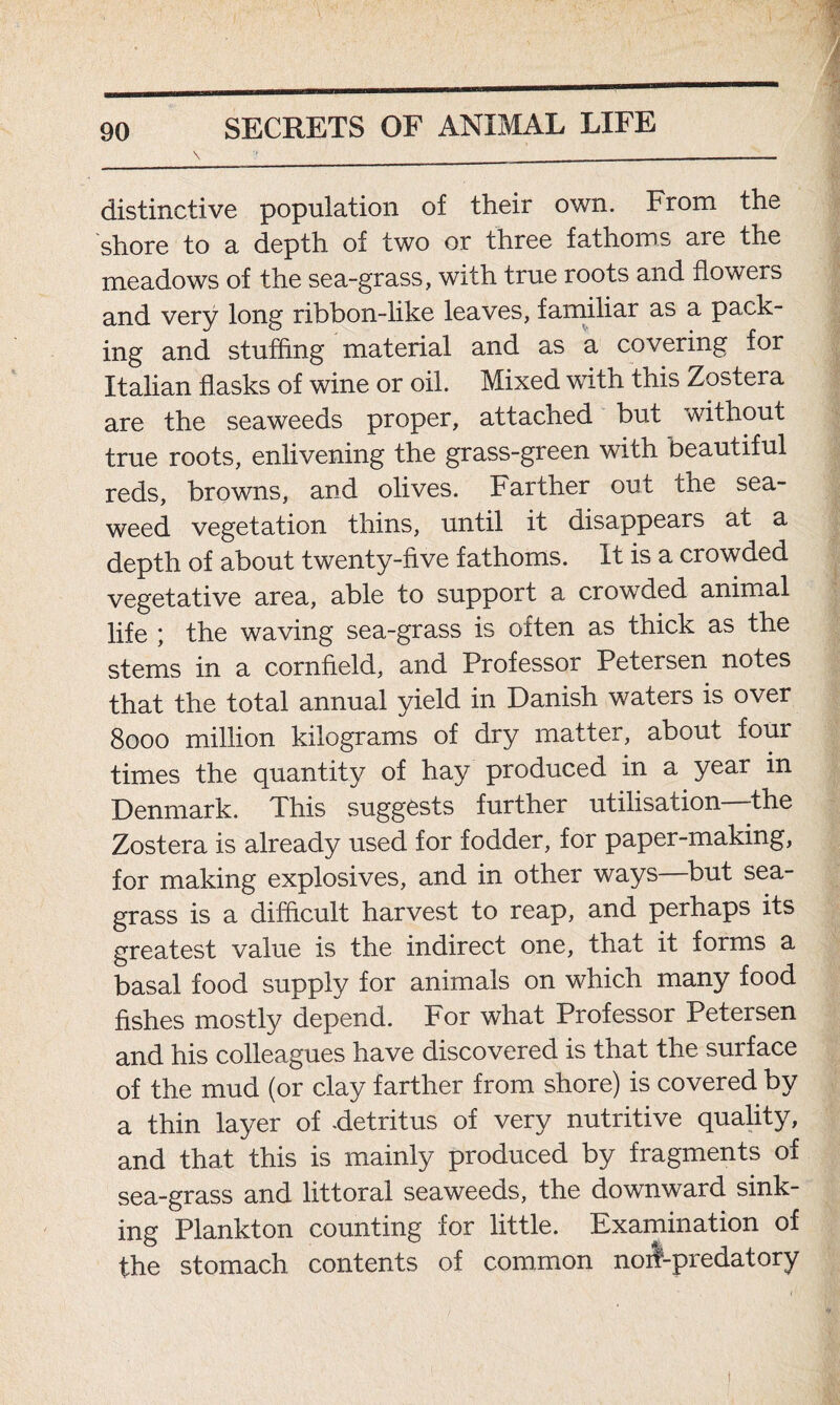 \ distinctive population of their own. From the shore to a depth of two or three fathoms are the meadows of the sea-grass, with true roots and flowers and very long ribbon-like leaves, familiar as a pack- ing and stuffing material and as a covering for Italian flasks of wine or oil. Mixed with this Zoster a are the seaweeds proper, attached but without true roots, enlivening the grass-green with beautiful reds, browns, and olives. Farther out the sea- weed vegetation thins, until it disappears at a depth of about twenty-five fathoms. It is a crowded vegetative area, able to support a crowded animal life ; the waving sea-grass is often as thick as the stems in a cornfield, and Professor Petersen notes that the total annual yield in Danish waters is over 8000 million kilograms of dry matter, about four times the quantity of hay produced in a year in Denmark. This suggests further utilisation—the Zostera is already used for fodder, for paper-making, for making explosives, and in other ways but sea- grass is a difficult harvest to reap, and perhaps its greatest value is the indirect one, that it forms a basal food supply for animals on which many food fishes mostly depend. For what Professor Petersen and his colleagues have discovered is that the surface of the mud (or clay farther from shore) is covered by a thin layer of -detritus of very nutritive quality, and that this is mainly produced by fragments of sea-grass and littoral seaweeds, the downward sink- ing Plankton counting for little. Examination of the stomach contents of common noil-predatory