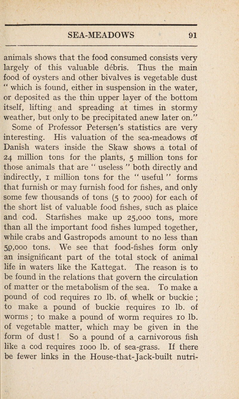 animals shows that the food consumed consists very largely of this valuable debris. Thus the main food of oysters and other bivalves is vegetable dust “ which is found, either in suspension in the water, or deposited as the thin upper layer of the bottom itself, lifting and spreading at times in stormy weather, but only to be precipitated anew later on.” Some of Professor Petersen’s statistics are very interesting. His valuation of the sea-meadows Of Danish waters inside the Skaw shows a total of 24 million tons for the plants, 5 million tons for those animals that are “ useless ” both directly and indirectly, 1 million tons for the “ useful ” forms that furnish or may furnish food for fishes, and only some few thousands of tons (5 to 7000) for each of the short list of valuable food fishes, such as plaice and cod. Starfishes make up 25,000 tons, more than all the important food fishes lumped together, while crabs and Gastropods amount to no less than 5p,ooo tons. We see that food-fishes form only an insignificant part of the total stock of animal life in waters like the Kattegat. The reason is to be found in the relations that govern the circulation of matter or the metabolism of the sea. To make a pound of cod requires 10 lb. of whelk or buckie ; to make a pound of buckie requires 10 lb. of worms ; to make a pound of worm requires 10 lb. of vegetable matter, which may be given in the form of dust ! So a pound of a carnivorous fish like a cod requires 1000 lb. of sea-grass. If there be fewer links in the House-that-Jack-built nutri-