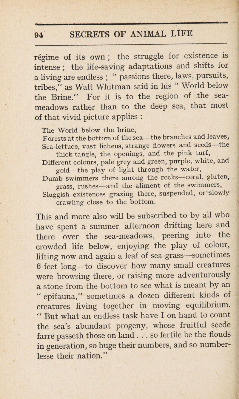 regime of its own ; the struggle for existence is intense ; the life-saving adaptations and shifts for a living are endless ; “ passions there, laws, pursuits, tribes,” as Walt Whitman said in his “ World below the Brine.” For it is to the region of the sea- meadows rather than to the deep sea, that most of that vivid picture applies : The World below the brine, Forests at the bottom of the sea—the branches and leaves, Sea-lettuce, vast lichens, strange flowers and seeds the thick tangle, the openings, and the pink turf, Diflerent colours, pale grey and green, purple, white, and gold—the play of light through the water. Dumb swimmers there among the rocks—coral, gluten, grass, rushes—and the aliment of the swimmers, Sluggish existences grazing there, suspended, or slowly crawling close to the bottom. This and more also will be subscribed to by all who have spent a summer afternoon drifting here and there over the sea-meadows, peering into the crowded life below, enjoying the play of colour, lifting now and again a leaf of sea-grass—sometimes 6 feet long—to discover how many small creatures were browsing there, or raising more adventurously a stone from the bottom to see what is meant by an “ epifauna,” sometimes a dozen different kinds of creatures living together in moving equilibrium. “ But what an endless task have I on hand to count the sea’s abundant progeny, whose fruitful seede farre passeth those on land ... so fertile be the flouds in generation, so huge their numbers, and so number- lesse their nation.”