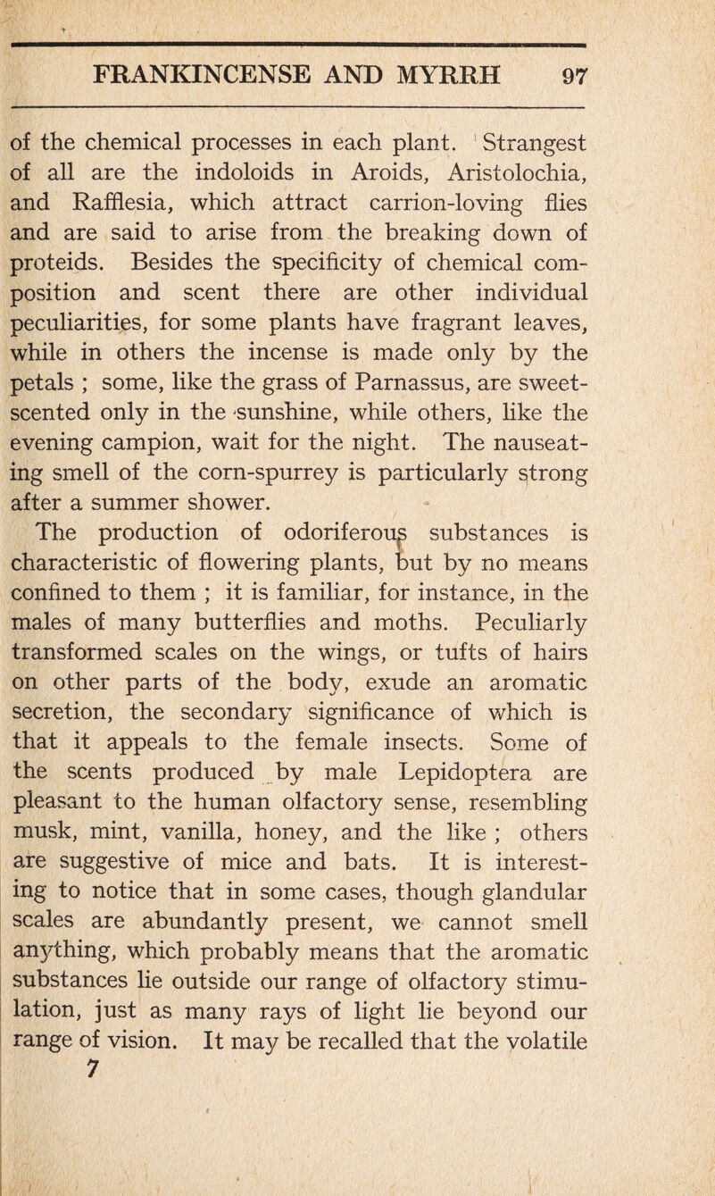 of the chemical processes in each plant. 1 Strangest of all are the indoloids in Aroids, Aristolochia, and Rafflesia, which attract carrion-loving flies and are said to arise from the breaking down of proteids. Besides the specificity of chemical com- position and scent there are other individual peculiarities, for some plants have fragrant leaves, while in others the incense is made only by the petals ; some, like the grass of Parnassus, are sweet- scented only in the sunshine, while others, like the evening campion, wait for the night. The nauseat- ing smell of the corn-spurrey is particularly strong after a summer shower. The production of odoriferou^ substances is characteristic of flowering plants, but by no means confined to them ; it is familiar, for instance, in the males of many butterflies and moths. Peculiarly transformed scales on the wings, or tufts of hairs on other parts of the body, exude an aromatic secretion, the secondary significance of which is that it appeals to the female insects. Some of the scents produced by male Lepidoptera are pleasant to the human olfactory sense, resembling musk, mint, vanilla, honey, and the like ; others are suggestive of mice and bats. It is interest- ing to notice that in some cases, though glandular scales are abundantly present, we cannot smell anything, which probably means that the aromatic substances lie outside our range of olfactory stimu- lation, just as many rays of light lie beyond our range of vision. It may be recalled that the volatile 7