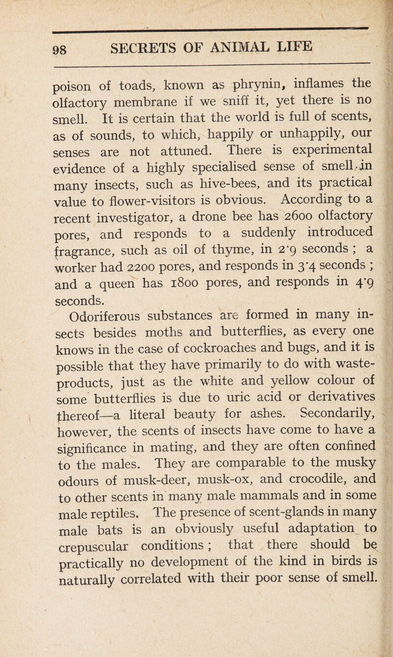 poison of toads, known as phrynin, inflames the olfactory membrane if we sniff it, yet there is no smell. It is certain that the world is full of scents, as of sounds, to which, happily or unhappily, our senses are not attuned. There is experimental evidence of a highly specialised sense of smell-in many insects, such as hive-bees, and its practical value to flower-visitors is obvious. According to a recent investigator, a drone bee has 2600 olfactory pores, and responds to a suddenly introduced fragrance, such as oil of thyme, in 2*9 seconds ; a worker had 2200 pores, and responds in 3*4 seconds ; and a queen has 1800 pores, and responds in 4*9 seconds. Odoriferous substances are formed in many in- sects besides moths and butterflies, as every one knows in the case of cockroaches and bugs, and it is possible that they have primarily to do with waste- products, just as the white and yellow colour of some butterflies is due to uric acid or derivatives thereof—a literal beauty for ashes. Secondarily, however, the scents of insects have come to have a significance in mating, and they are often confined to the males. They are comparable to the musky odours of musk-deer, musk-ox, and crocodile, and to other scents in many male mammals and in some male reptiles. The presence of scent-glands in many male bats is an obviously useful adaptation to crepuscular conditions ; that there should be practically no development of the kind in birds is naturally correlated with their poor sense of smell.