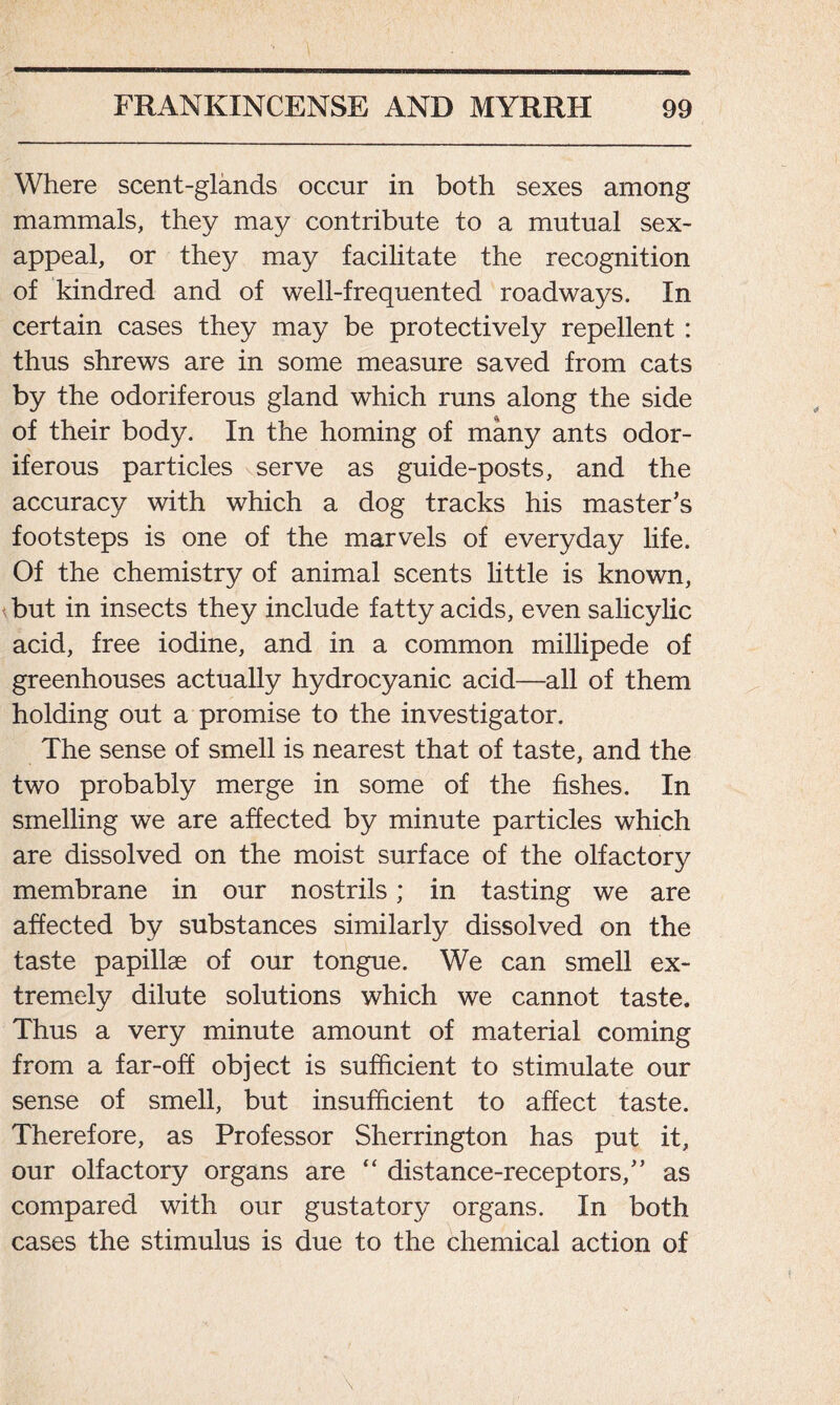 Where scent-glands occur in both sexes among mammals, they may contribute to a mutual sex- appeal, or they may facilitate the recognition of kindred and of well-frequented roadways. In certain cases they may be protectively repellent : thus shrews are in some measure saved from cats by the odoriferous gland which runs along the side of their body. In the homing of many ants odor- iferous particles serve as guide-posts, and the accuracy with which a dog tracks his master’s footsteps is one of the marvels of everyday life. Of the chemistry of animal scents little is known, but in insects they include fatty acids, even salicylic acid, free iodine, and in a common millipede of greenhouses actually hydrocyanic acid—all of them holding out a promise to the investigator. The sense of smell is nearest that of taste, and the two probably merge in some of the fishes. In smelling we are affected by minute particles which are dissolved on the moist surface of the olfactory membrane in our nostrils; in tasting we are affected by substances similarly dissolved on the taste papillae of our tongue. We can smell ex- tremely dilute solutions which we cannot taste. Thus a very minute amount of material coming from a far-off object is sufficient to stimulate our sense of smell, but insufficient to affect taste. Therefore, as Professor Sherrington has put it, our olfactory organs are “ distance-receptors,” as compared with our gustatory organs. In both cases the stimulus is due to the chemical action of