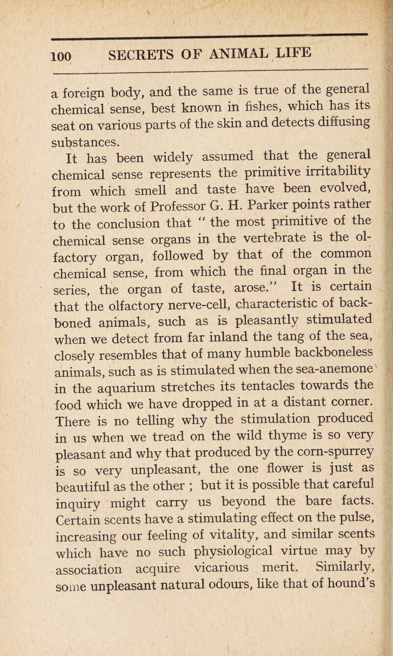 a foreign body, and the same is true of the general chemical sense, best known in fishes, which has its seat on various parts of the skin and detects diffusing substances. It has been widely assumed that the general chemical sense represents the primitive irritability from which smell and taste have been evolved, but the work of Professor G. H. Parker points rather to the conclusion that “ the most primitive of the chemical sense organs in the vertebrate is the ol- factory organ, followed by that of the common chemical sense, from which the final organ in the series, the organ of taste, arose. It is certain that the olfactory nerve-cell, characteristic of back- boned animals, such as is pleasantly stimulated when we detect from far inland the tang of the sea, closely resembles that of many humble backboneless animals, such as is stimulated when the sea-anemone in the aquarium stretches its tentacles towards the food which we have dropped in at a distant corner. There is no telling why the stimulation produced in us when we tread on the wild thyme is so very pleasant and why that produced by the corn-spurrey is so very unpleasant, the one flower is just as beautiful as the other ; but it is possible that careful inquiry might carry us beyond the bare facts. Certain scents have a stimulating effect on the pulse, increasing our feeling of vitality, and similar scents which have no such physiological virtue may by association acquire vicarious merit. Similarly, some unpleasant natural odours, like that of hound’s