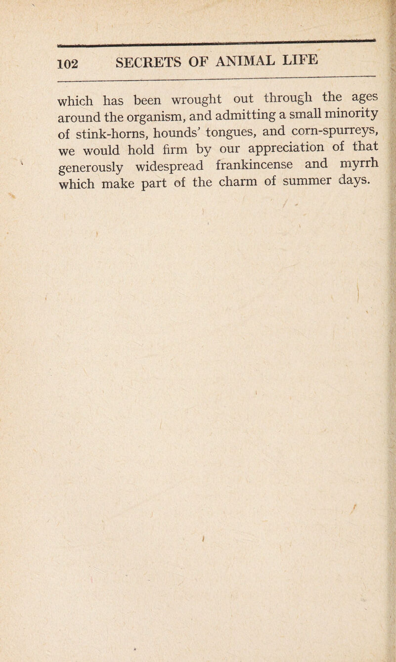 which has been wrought out through the ages around the organism, and admitting a small minority of stink-horns, hounds’ tongues, and corn-spurreys, we would hold firm by our appreciation of that generously widespread frankincense and myrrh which make part of the charm of summer days. t i