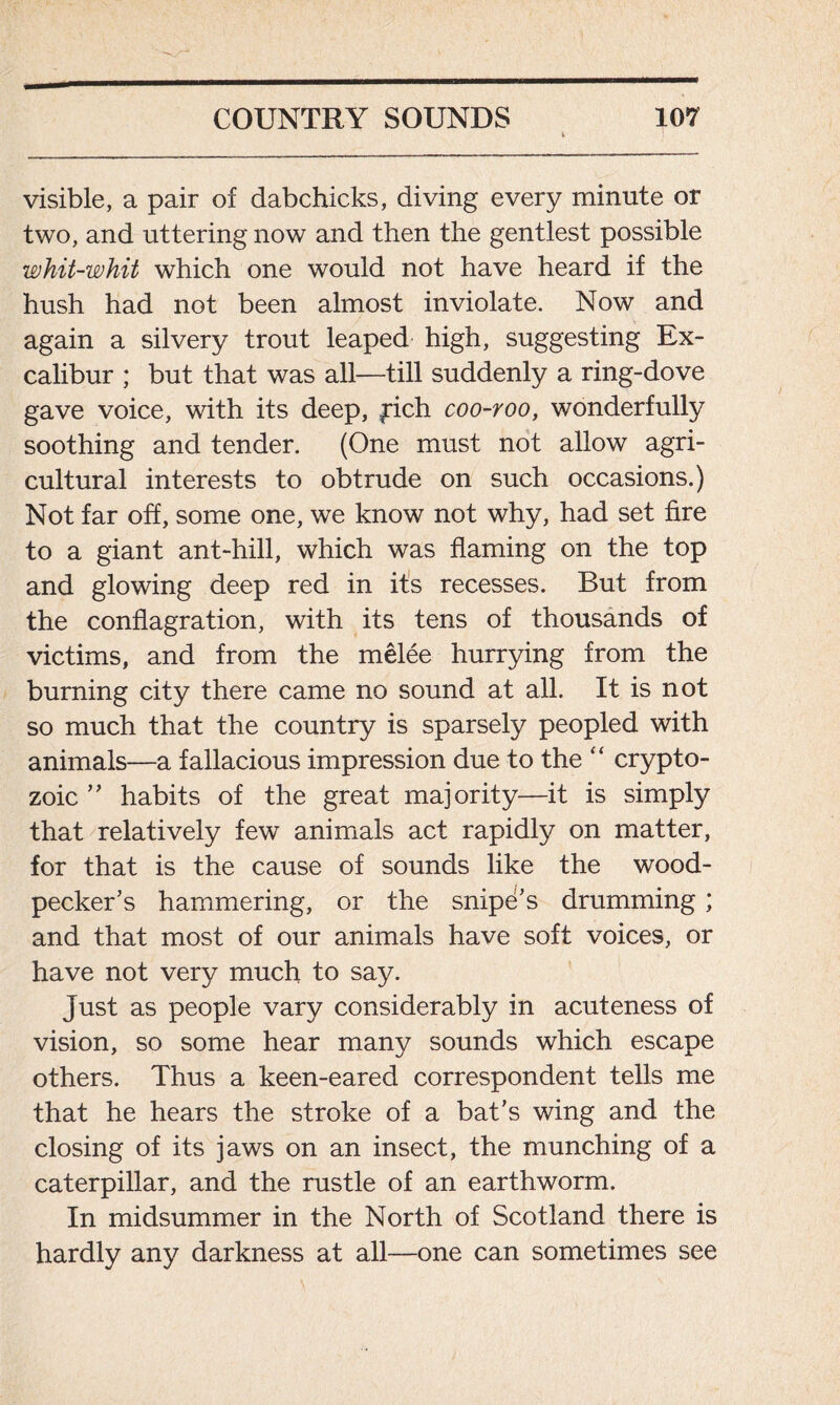 visible, a pair of dabchicks, diving every minute or two, and uttering now and then the gentlest possible whit-whit which one would not have heard if the hush had not been almost inviolate. Now and again a silvery trout leaped high, suggesting Ex- calibur ; but that was all—till suddenly a ring-dove gave voice, with its deep, fich coo-roo, wonderfully soothing and tender. (One must not allow agri- cultural interests to obtrude on such occasions.) Not far off, some one, we know not why, had set fire to a giant ant-hill, which was flaming on the top and glowing deep red in its recesses. But from the conflagration, with its tens of thousands of victims, and from the melee hurrying from the burning city there came no sound at all. It is not so much that the country is sparsely peopled with animals—a fallacious impression due to the “ crypto- zoic ” habits of the great majority—it is simply that relatively few animals act rapidly on matter, for that is the cause of sounds like the wood- pecker’s hammering, or the snipe’s drumming ; and that most of our animals have soft voices, or have not very much to say. Just as people vary considerably in acuteness of vision, so some hear many sounds which escape others. Thus a keen-eared correspondent tells me that he hears the stroke of a bat’s wing and the closing of its jaws on an insect, the munching of a caterpillar, and the rustle of an earthworm. In midsummer in the North of Scotland there is hardly any darkness at all—one can sometimes see